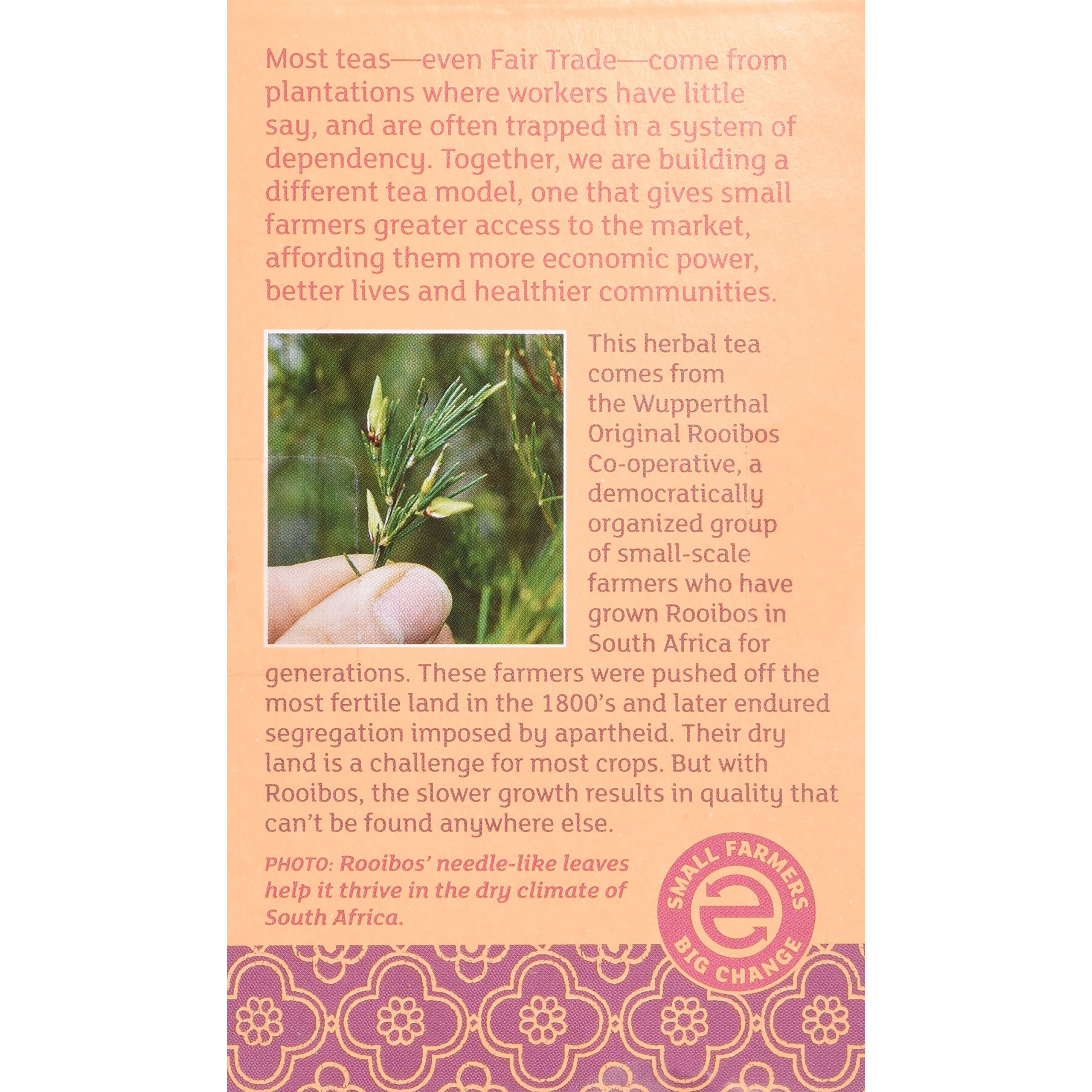 Equal Exchange Organic Vanilla Rooibos Tea, 20-Count (Pack Of 3)