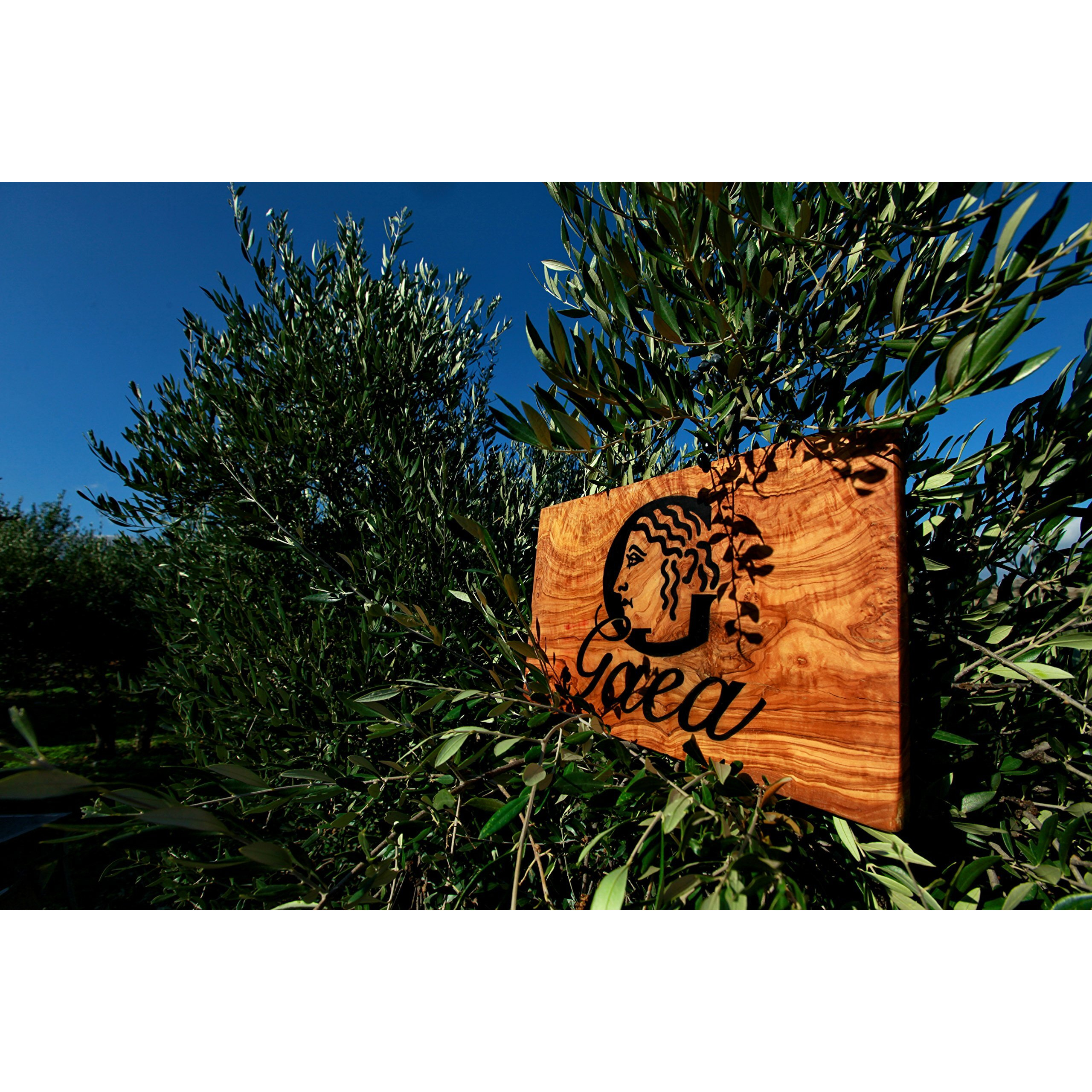 Gaea Pitted Greek Kalamata Olives - 10.2 Oz. Jar - Non-Gmo Preservative-Free And Low Sodium Healthy Snack