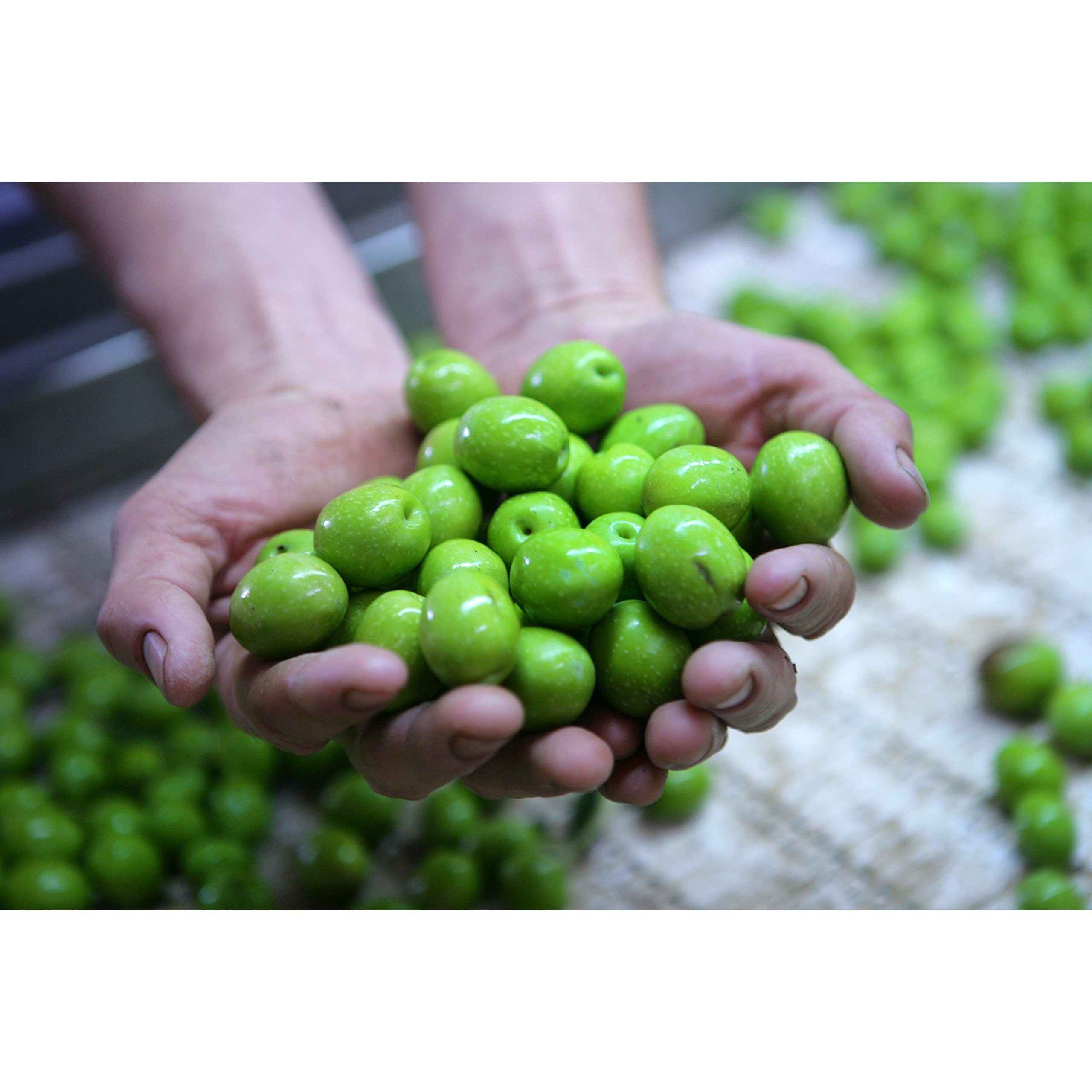 Gaea Pitted Greek Kalamata Olives - 10.2 Oz. Jar - Non-Gmo Preservative-Free And Low Sodium Healthy Snack