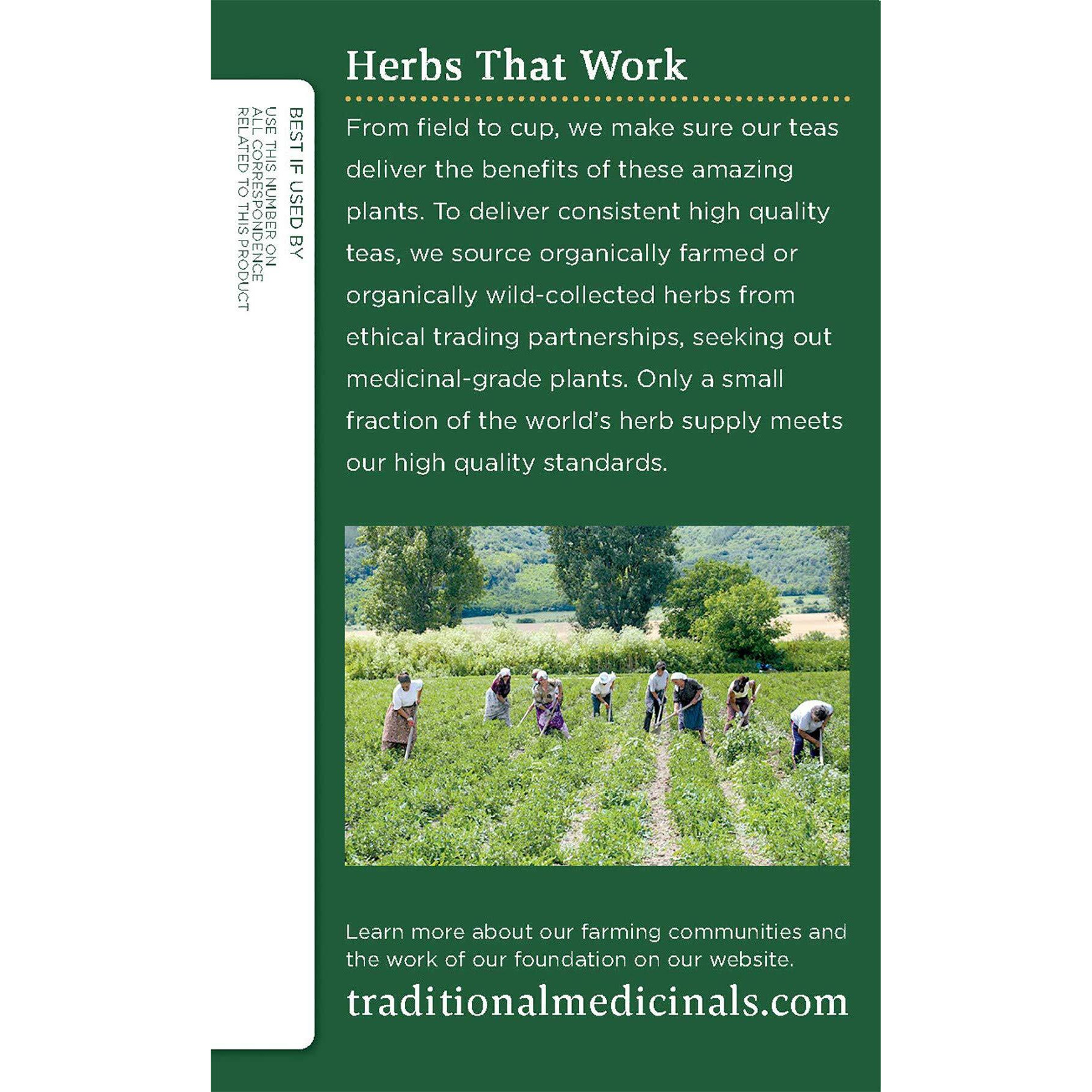 Traditional Medicinals Tea, Organic Rose Hips & Hibiscus, Supports Everyday Wellness, 96 Tea Bags (6 Pack)