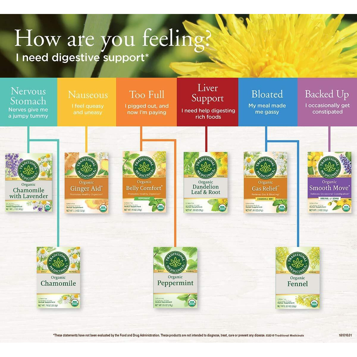 Traditional Medicinals Organic Gas Relief Chamomile Mint Herbal Tea, Relieves Gas & Bloating, (Pack Of 1) - 16 Tea Bags