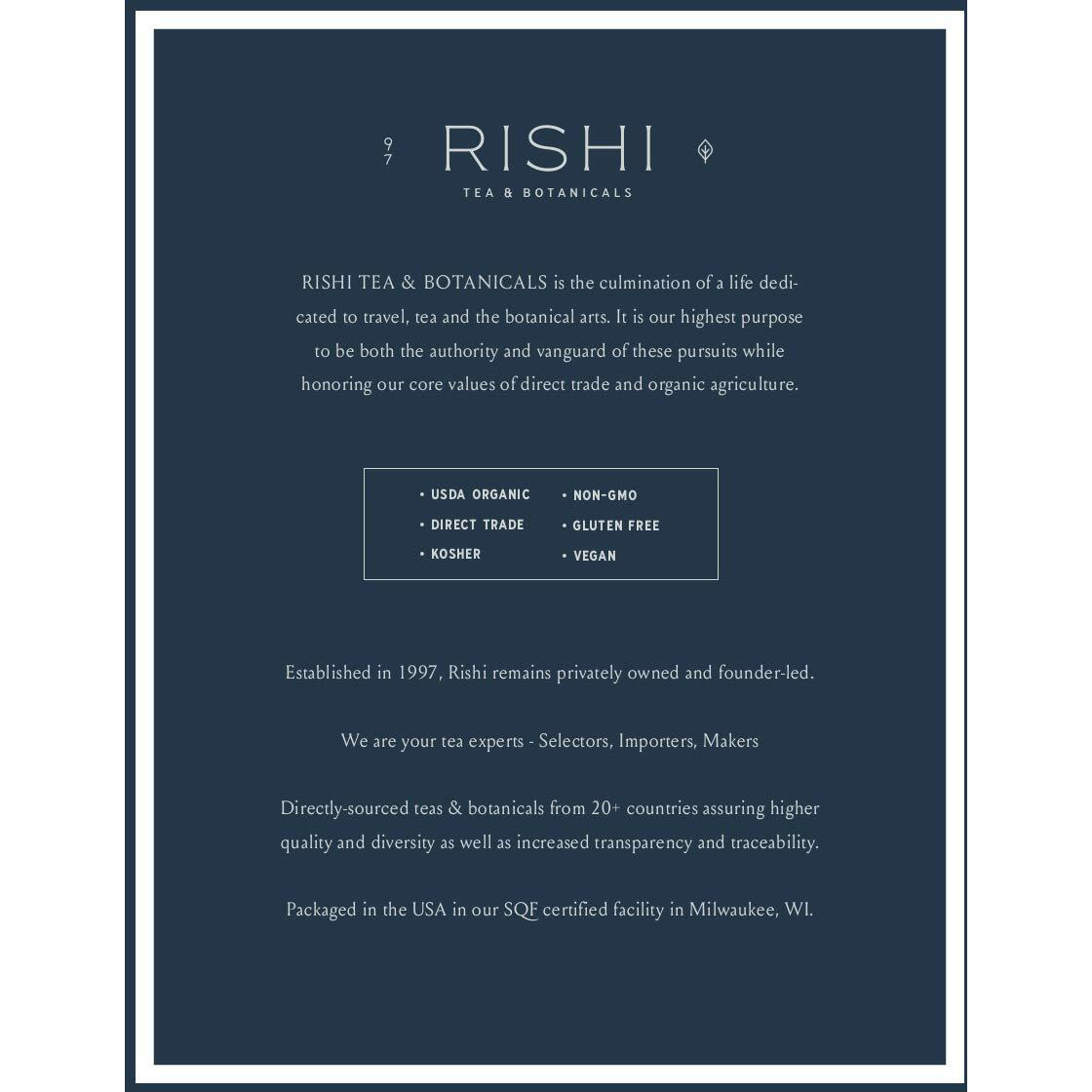 Rishi Tea Loose Leaf Tea Filters | Biodegradable Bpa Free, Chlorine-Free | 100 Large Filters, 600 Count (Pack Of 6) (Tb107)