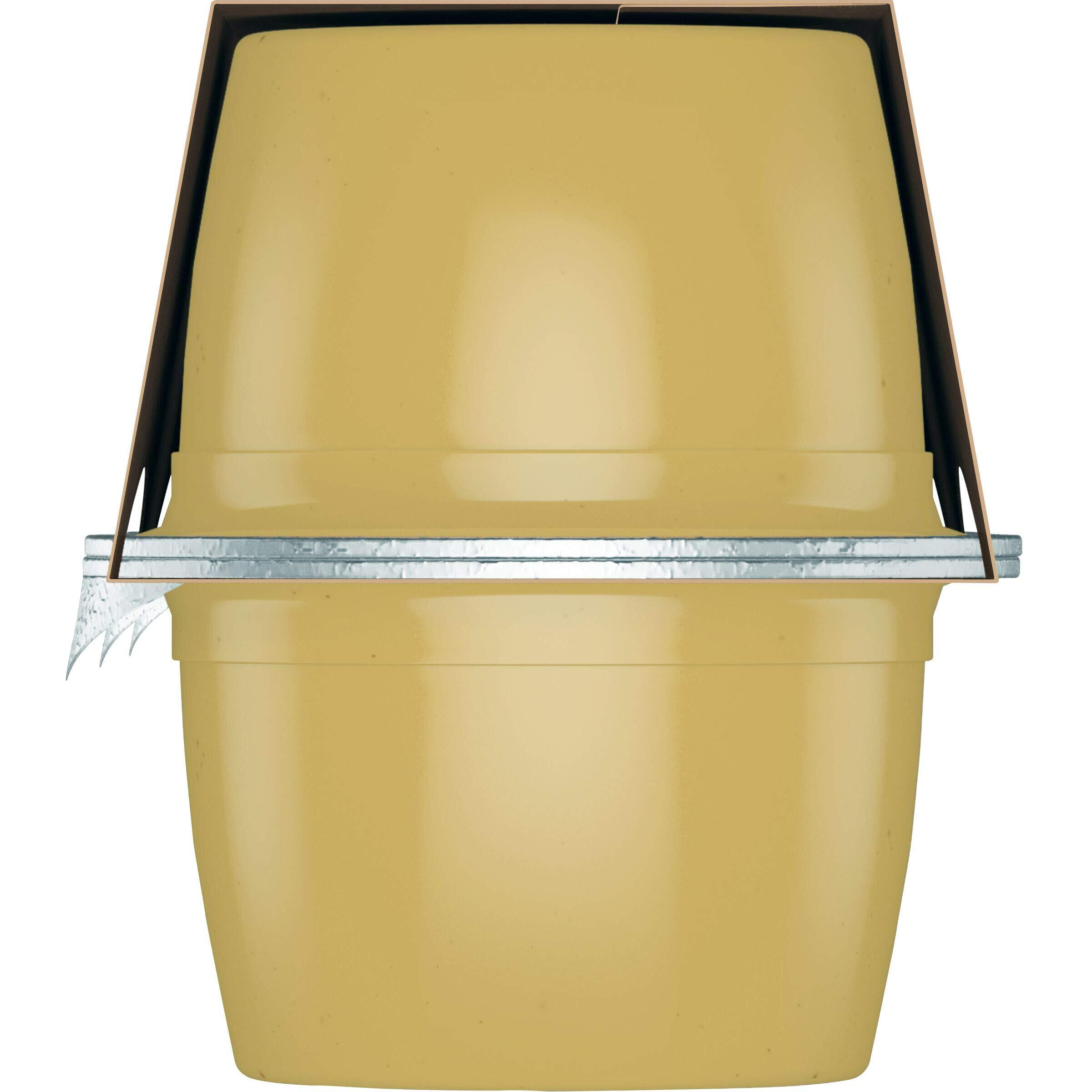 Santa Cruz Organic Apple Sauce, 6-4 Ounce Cups (Pack Of 4)