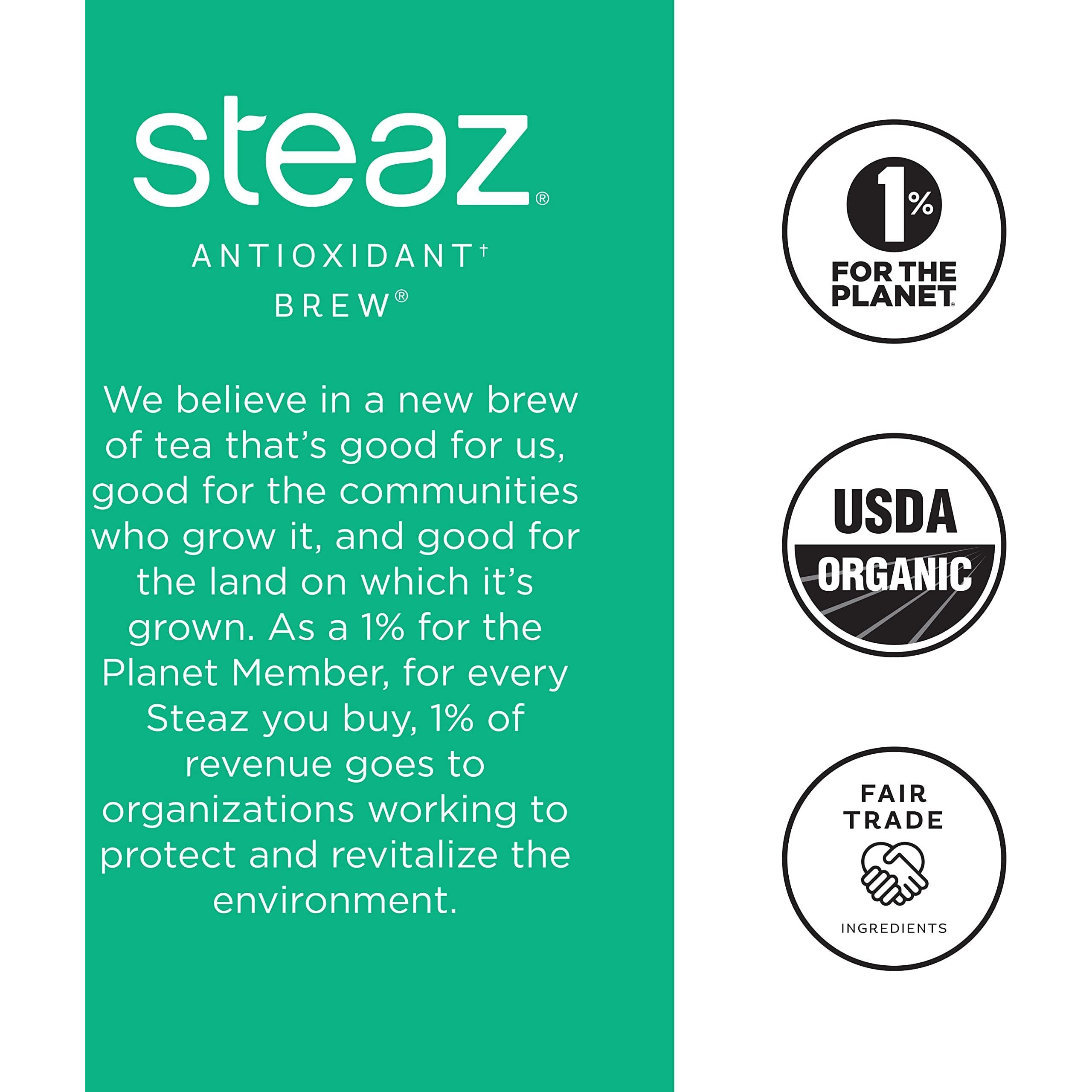 Steaz Organic Iced Green Tea Antioxidant Brew, Mint, 16 Fl Oz, Pack Of 12