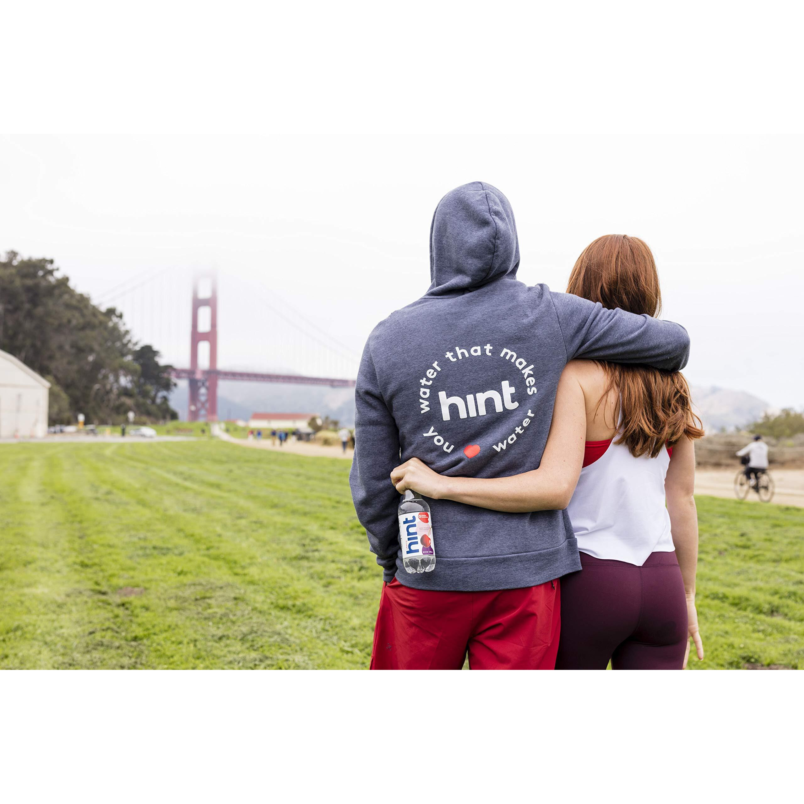 Hint Water Raspberry, Pure Water Infused With Raspberry, Zero Sugar, Zero Calories, Zero Sweeteners, Zero Preservatives, Zero Artificial Flavors, 16 Fl Oz (Pack Of 12)