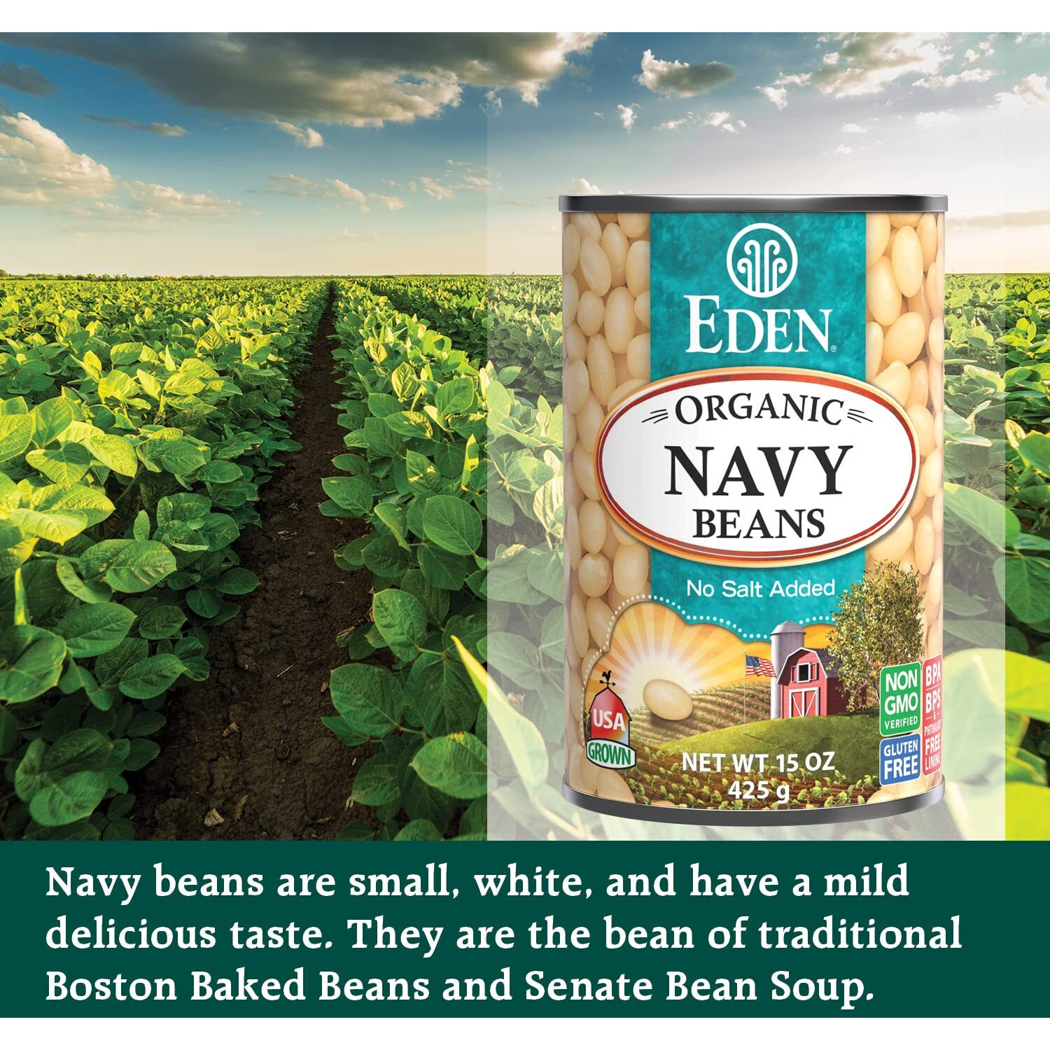 Eden Organic Navy Beans/White Beans, 15 Oz Can (12-Pack), No Salt, Non-Gmo, Gluten Free, Vegan, Kosher, U.S. Grown, Heat And Serve, Macrobiotic, Boston Bean