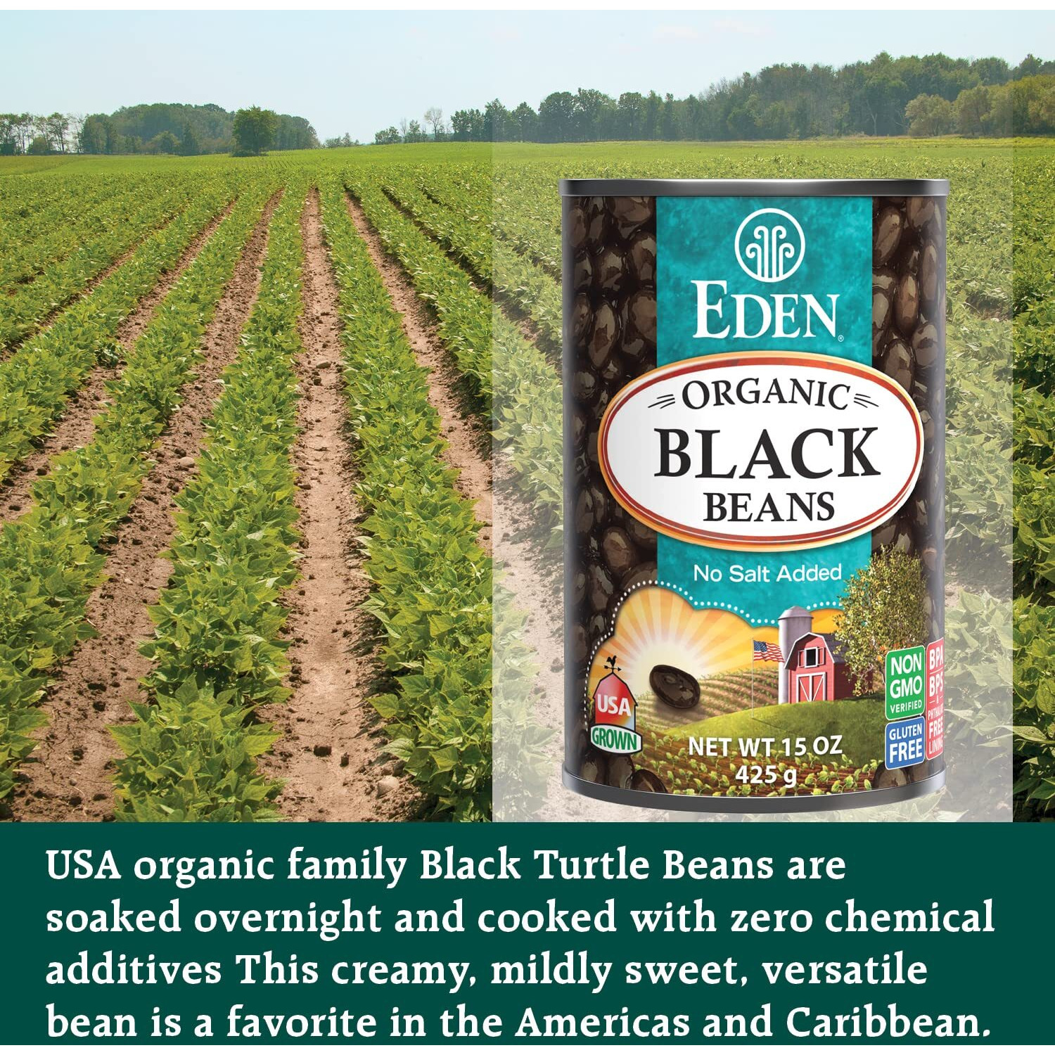 Eden Organic Black Beans, 15 Oz Can (12-Pack Case), No Salt Added, Non-Gmo, U.S Grown, Heat And Serve, Macrobiotic, Turtle Beans, Frijol Negro, Caviar Criollo