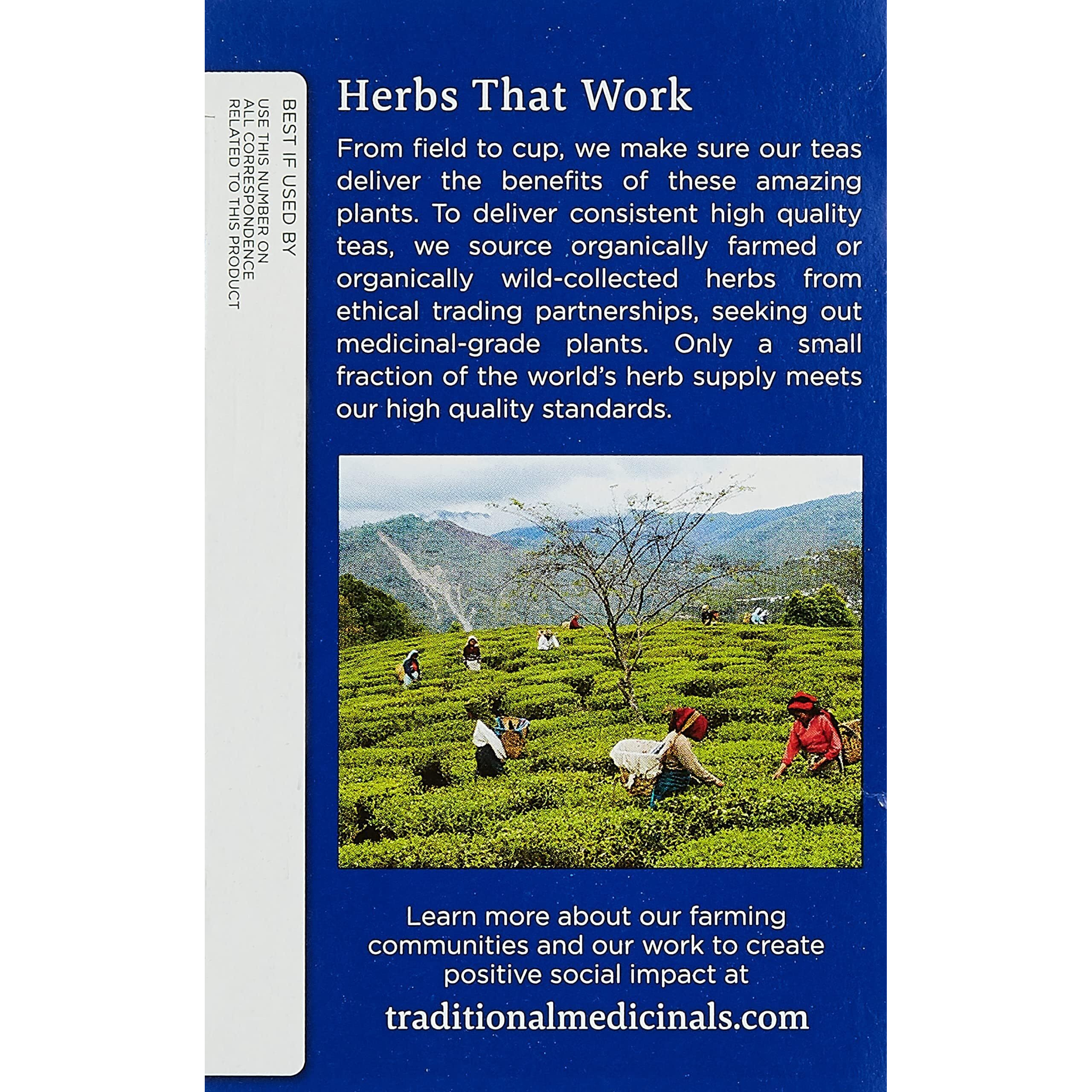 Traditional Medicinals Tea, Organic Nighty Night, Relax & Get A Good Night's Sleep, 16 Tea Bags