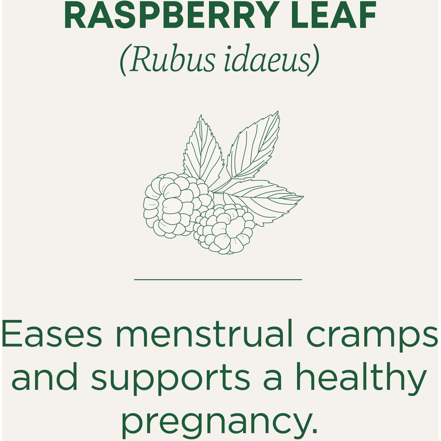 Organic Raspberry Leaf Tea, 16 Bags By Traditional Medicinals Teas