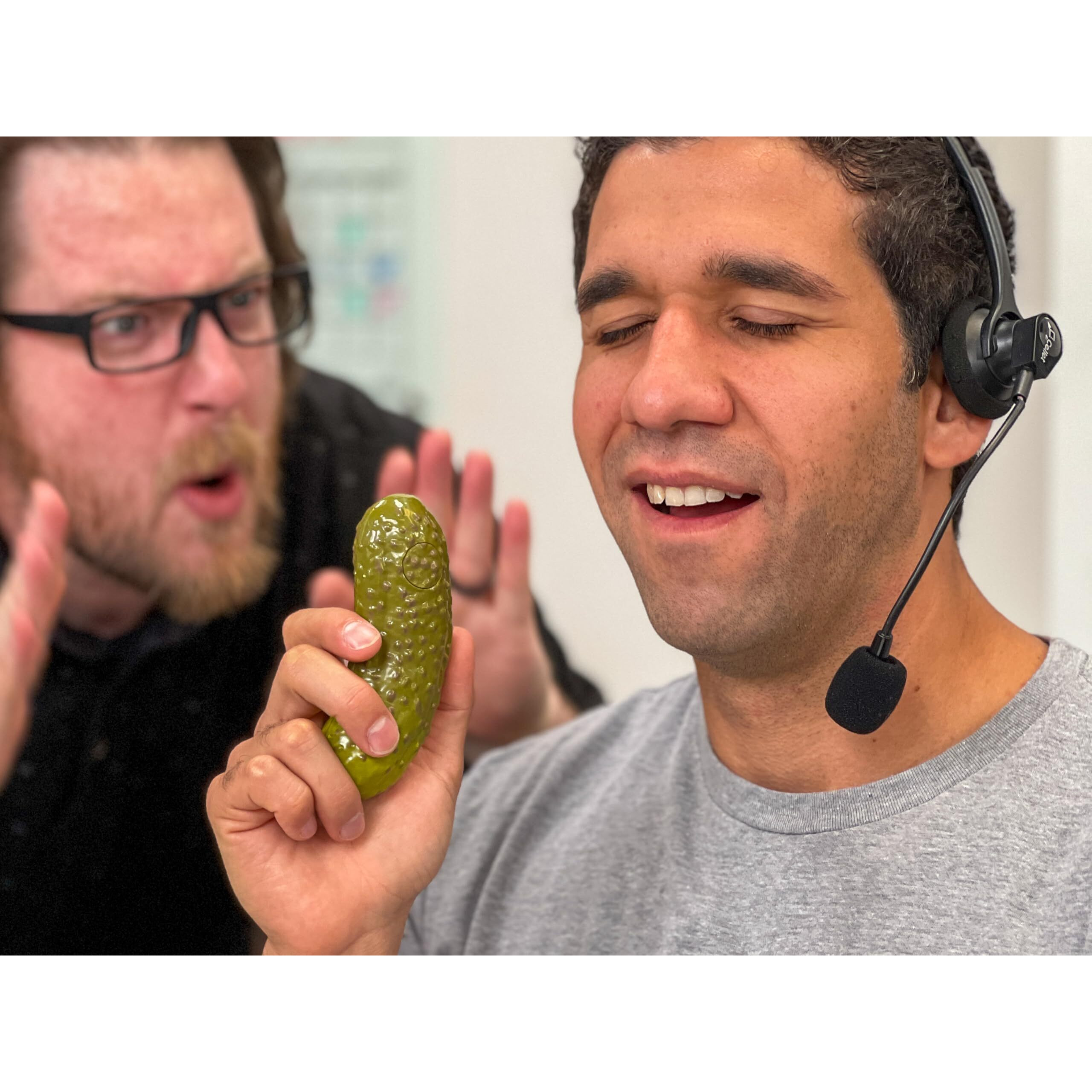 Dr Dingus Emotional Support Pickle - 100+ Positive Inspirational Phrases - Press Button - Family Friendly Gag Toy For Class, Office, Gift, Friends