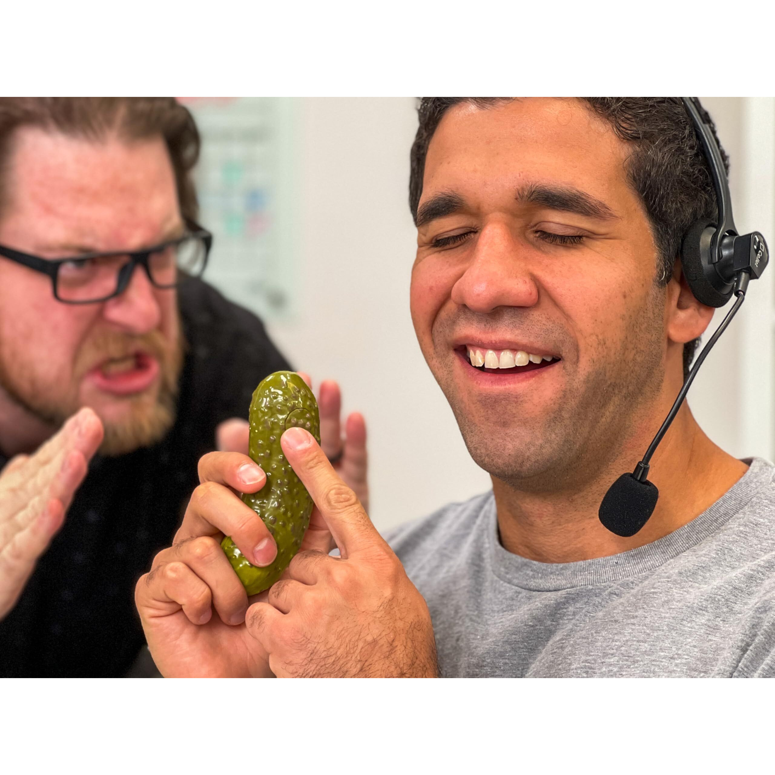 Dr Dingus Emotional Support Pickle - 100+ Positive Inspirational Phrases - Press Button - Family Friendly Gag Toy For Class, Office, Gift, Friends