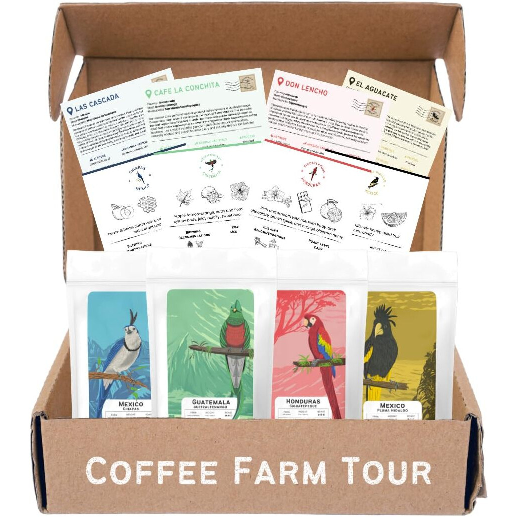 Canopy Point Coffee | Whole Bean Coffee | Coffee Bean Sample Pack | Gourmet Coffee Sampler | Single Origin Coffee Gift Set | Sampler Gift Box Set | Coffee Gifts | Specialty Coffee Gift Basket | 4 Pack Variety Set Sampler (Whole Bean)