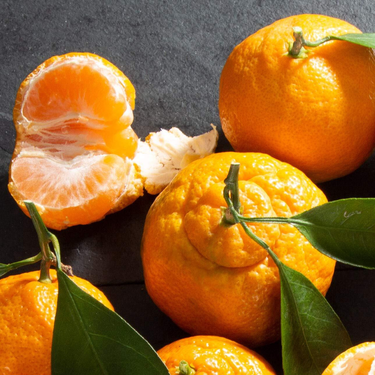 A Gift Inside Happy Birthday Fruit Favorites Basket