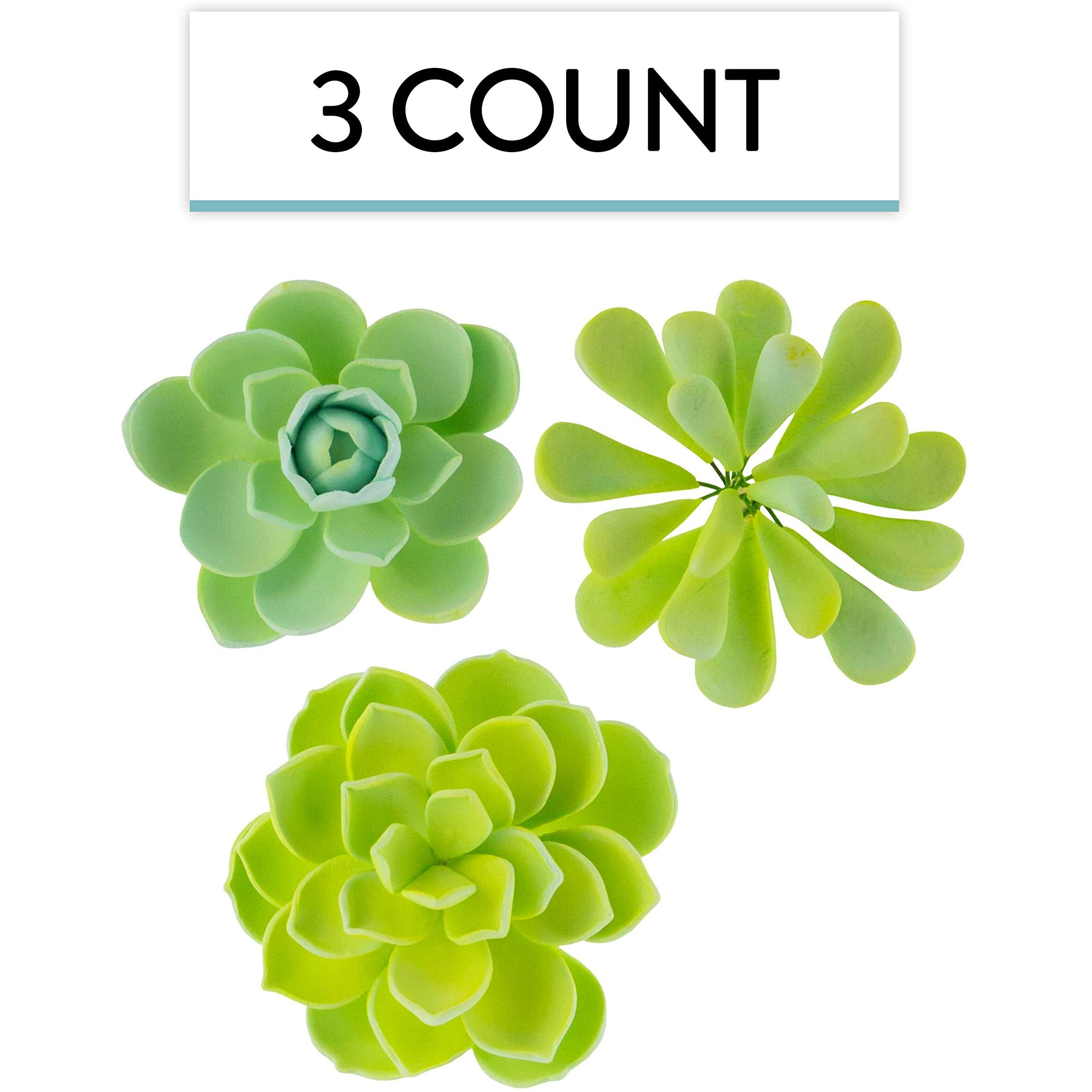 Global Sugar Art Succulent Mixed Assortment Sugar Cake Flowers, 3 Count By Chef Alan Tetreault