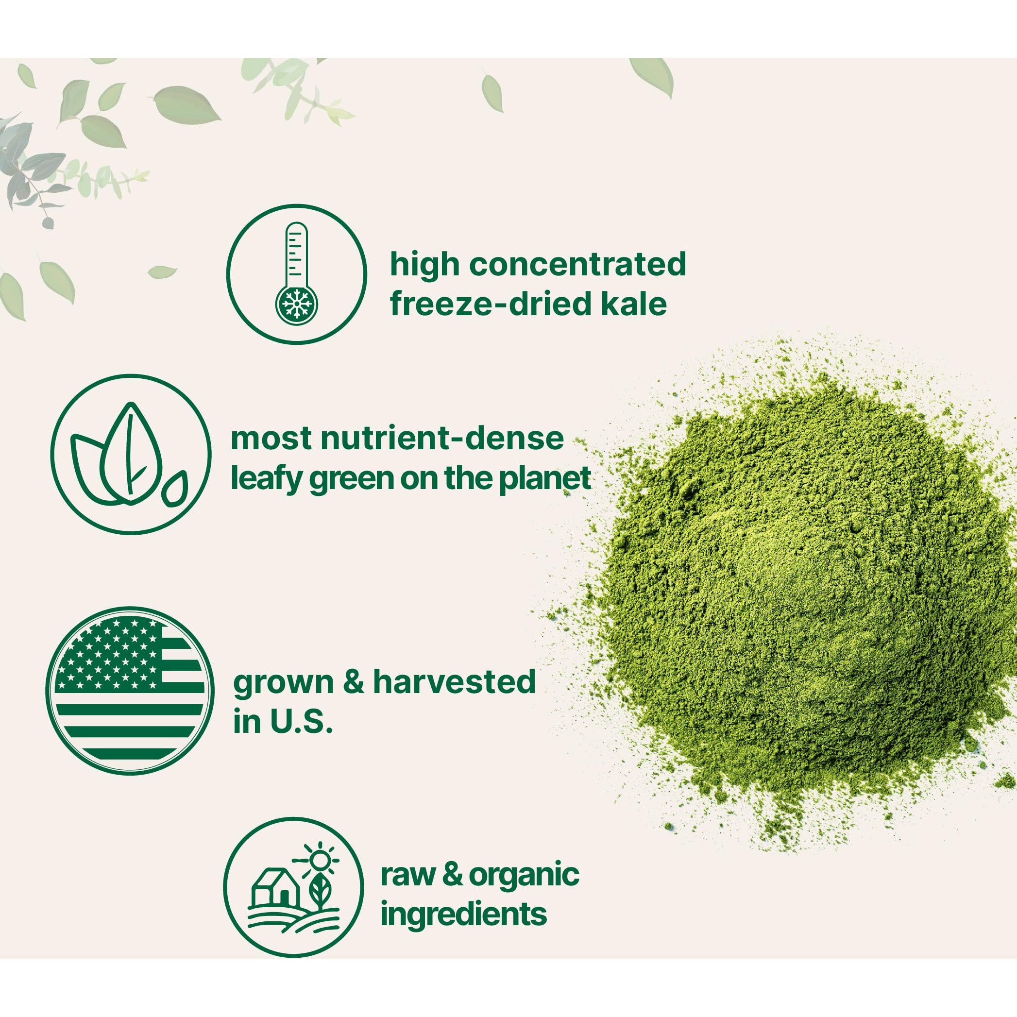 Sustainably Us Grown, Organic Kale Powder, 2 Pounds | Fresh Freeze Dried Source | Nutrient-Dense Greens Superfood | Kale Tea And Green Drink Mix | 907 Servings, No Gmos, Vegan Friendly