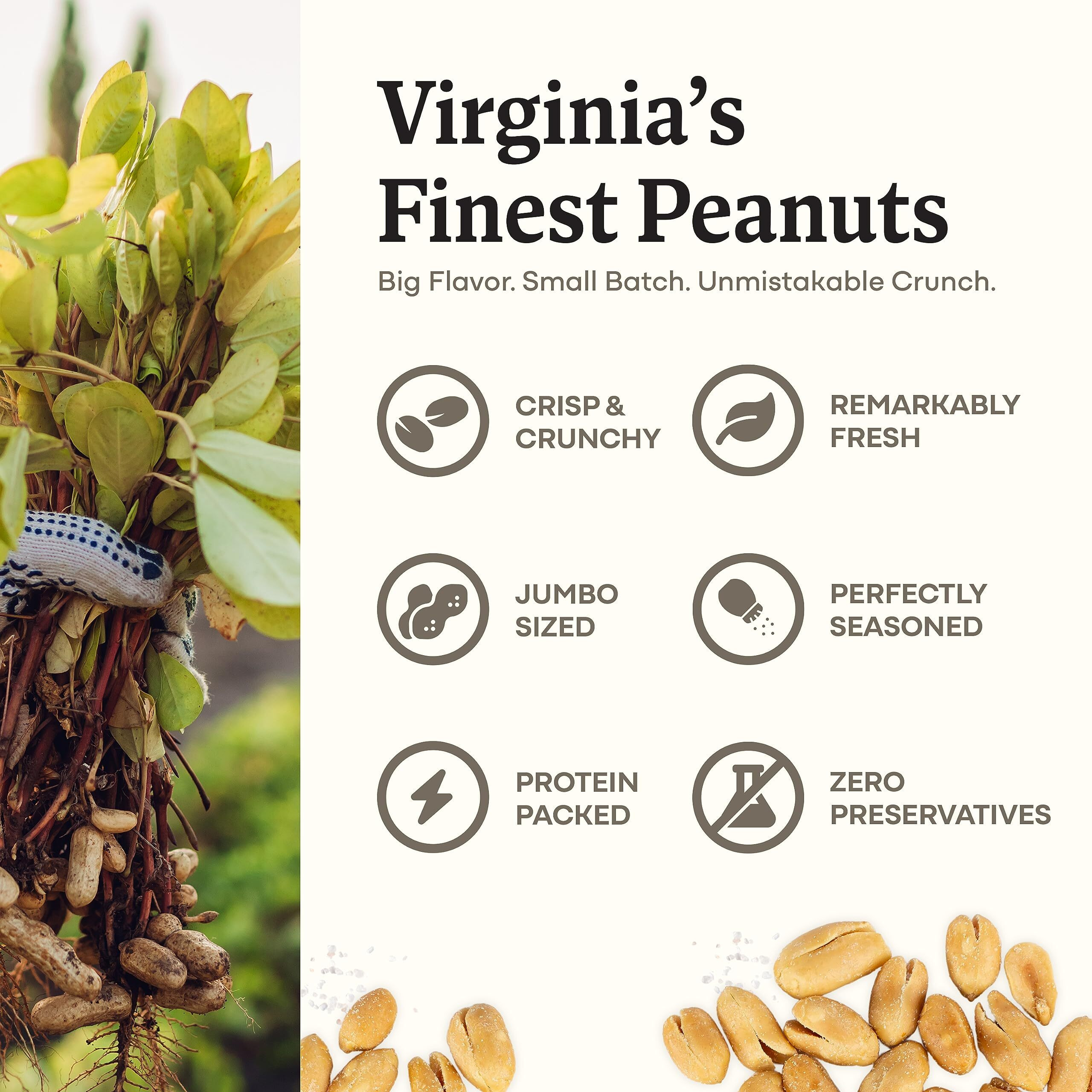 Belmont Peanuts Gourmet Sea-Salted Virginia Peanuts, 25 Oz (1 Pack) - Only 3 Simple Ingredients, No Preservatives, 7G Protein - A Premium, Salty, Crunchy, Hand Seasoned Snack