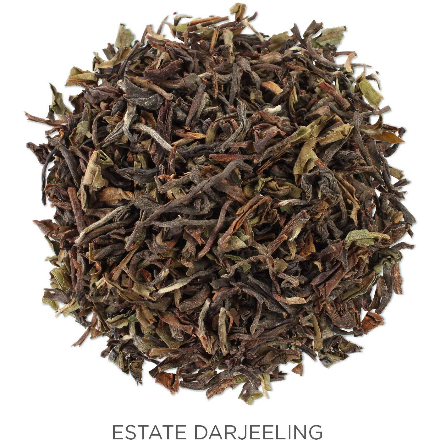 Tea Forte Loose Tea Canister, Black Tea, Makes 35-50 Cups (Estate Darjeeling)