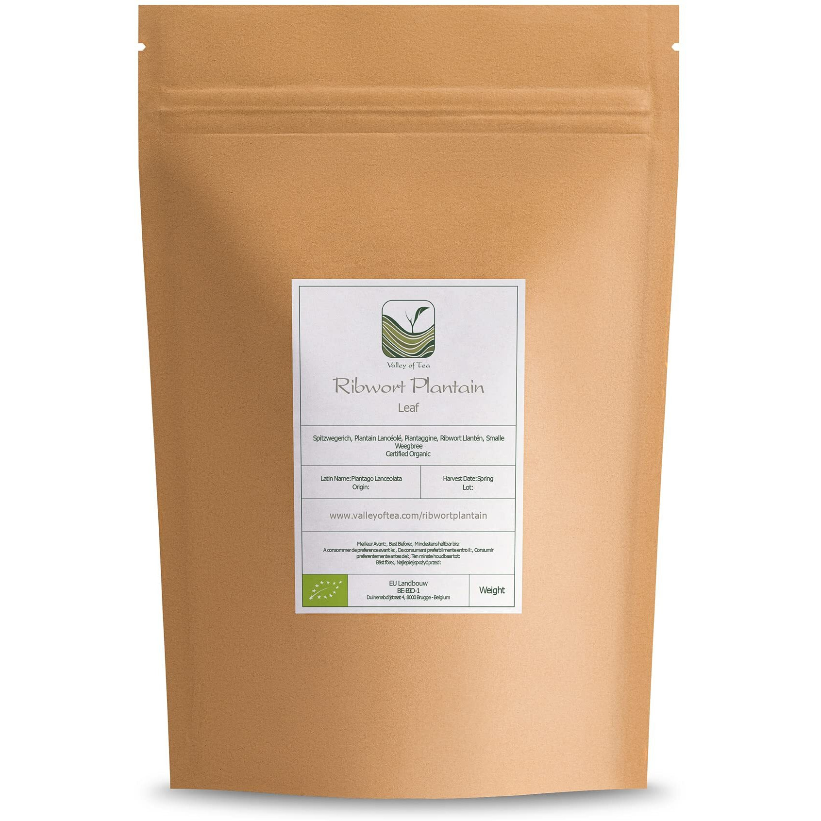 Plantain Leaf Tea Organic Herb - Platain Leaves Ribwort - Plantain Leaf Herb Organic Plantain Leaves Dried Plantain Leaves Plantain Herbs Plantain Ribwort Plantain Herb Dried Plantain Leave