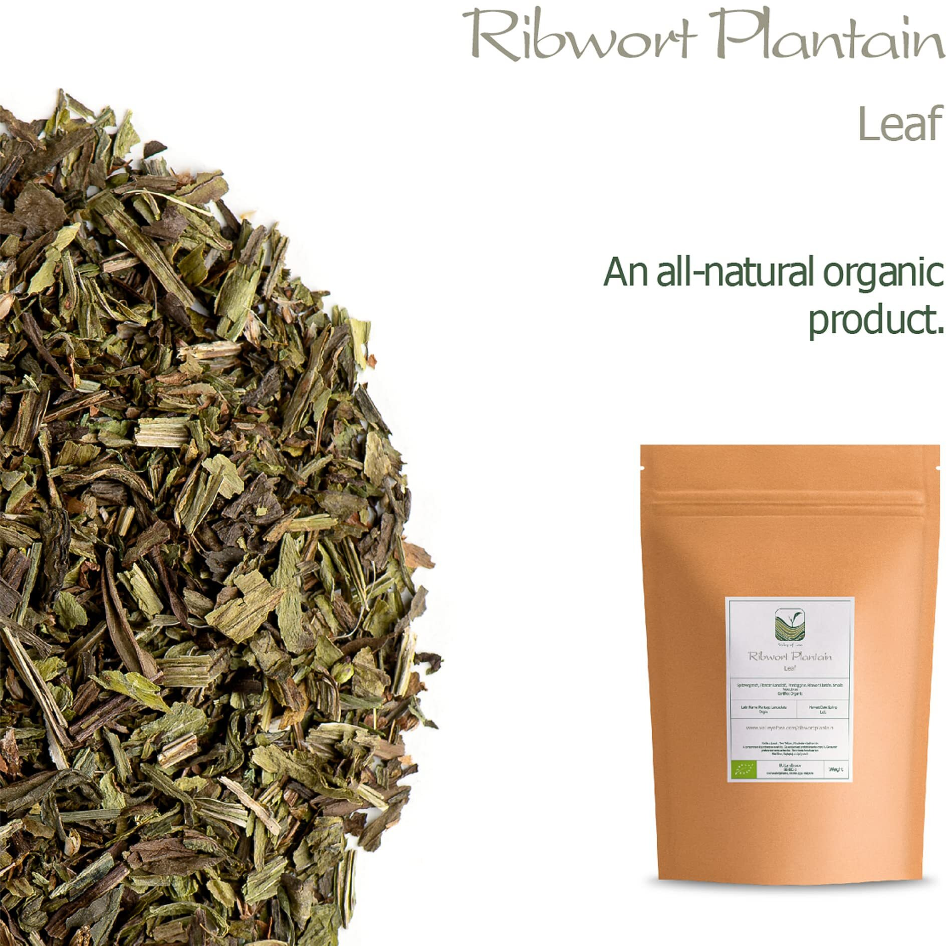 Plantain Leaf Tea Organic Herb - Platain Leaves Ribwort - Plantain Leaf Herb Organic Plantain Leaves Dried Plantain Leaves Plantain Herbs Plantain Ribwort Plantain Herb Dried Plantain Leave