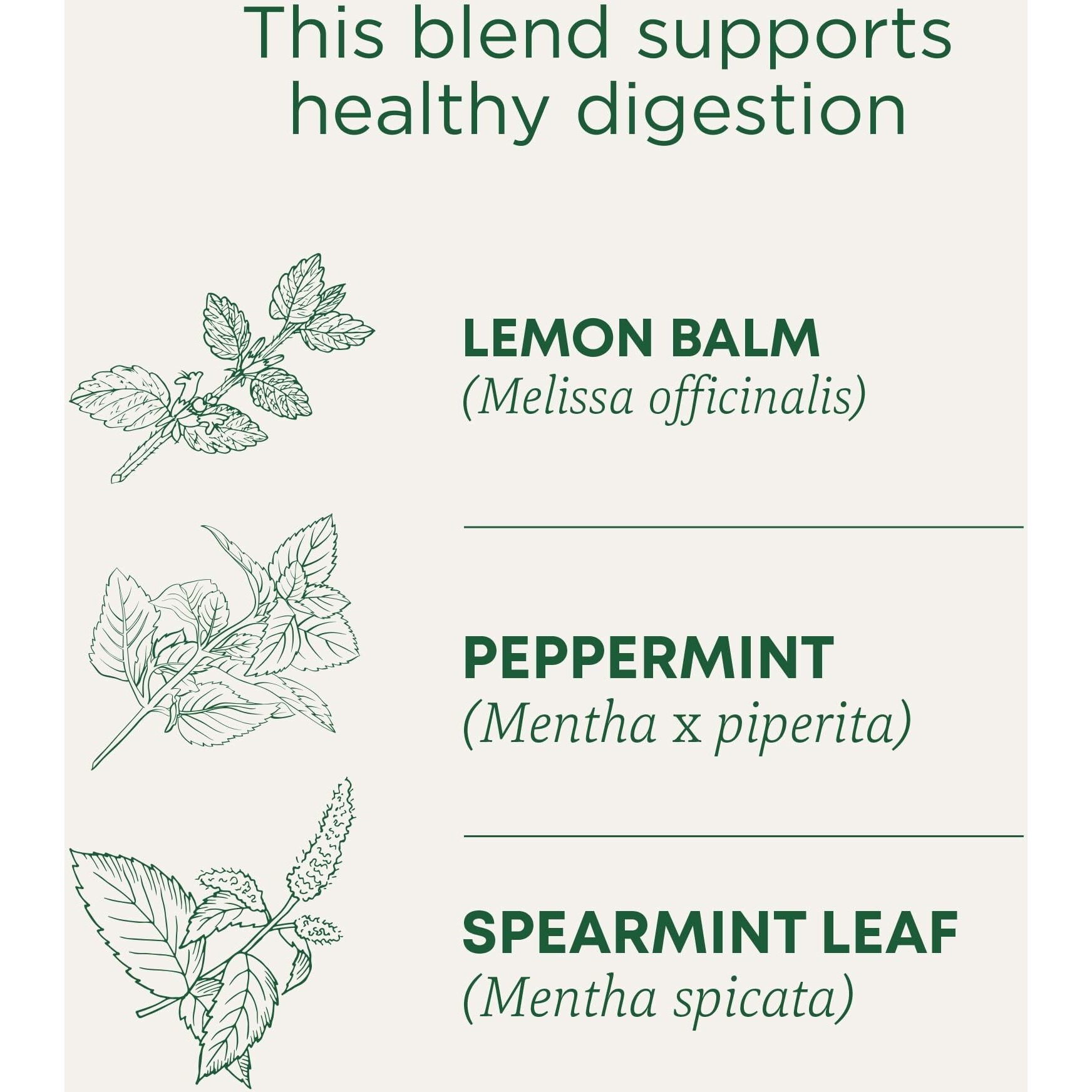 Traditional Medicinals Tea, Organic Peppermint Delight Probiotic, Supports Healthy Digestion, 96 Tea Bags (6 Pack)