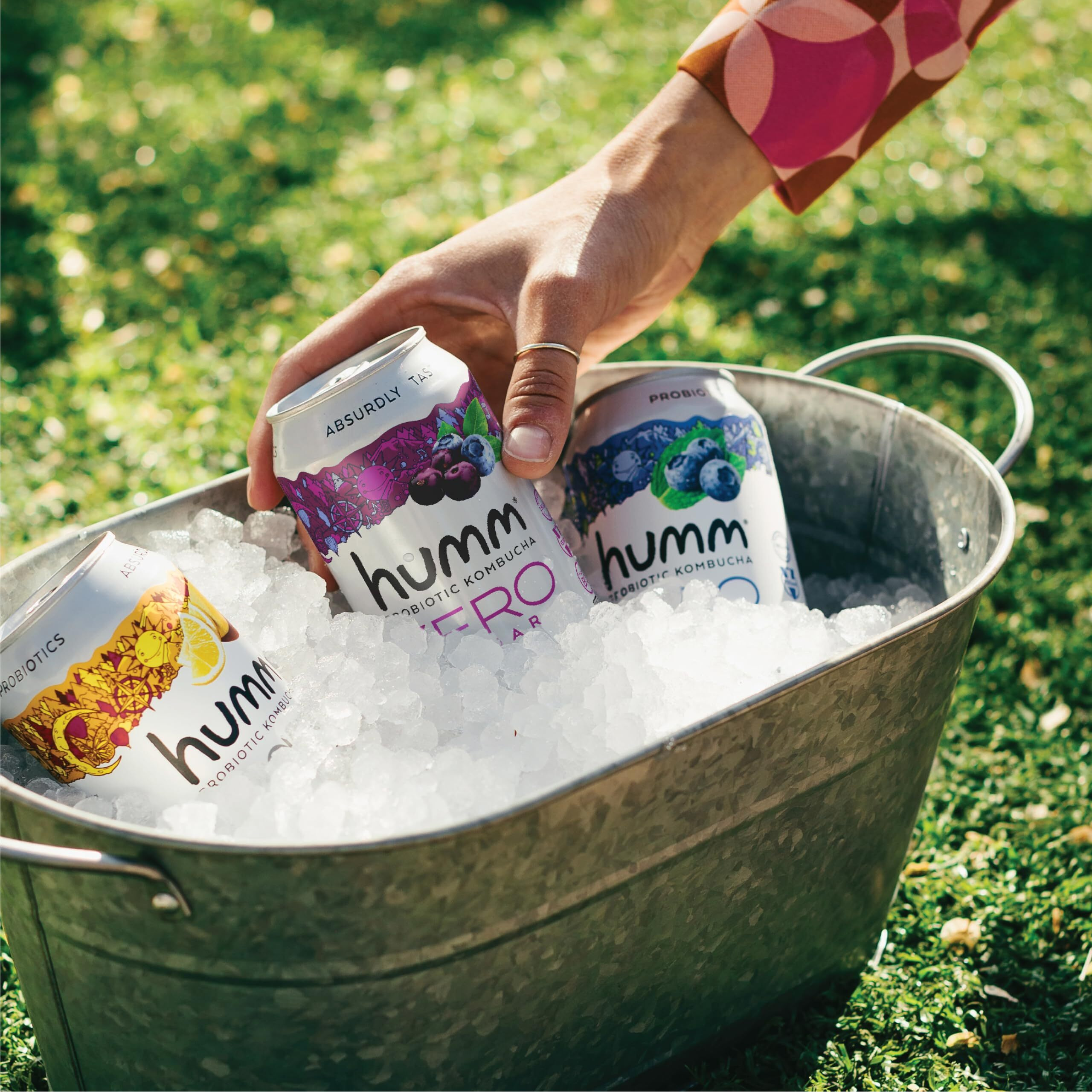 Humm Probiotic Kombucha Zero Sugar Blueberry Acai - No Refrigeration Needed, Keto-Friendly, Organic, Vegan, Gluten-Free - 12Oz Cans (8 Pack)