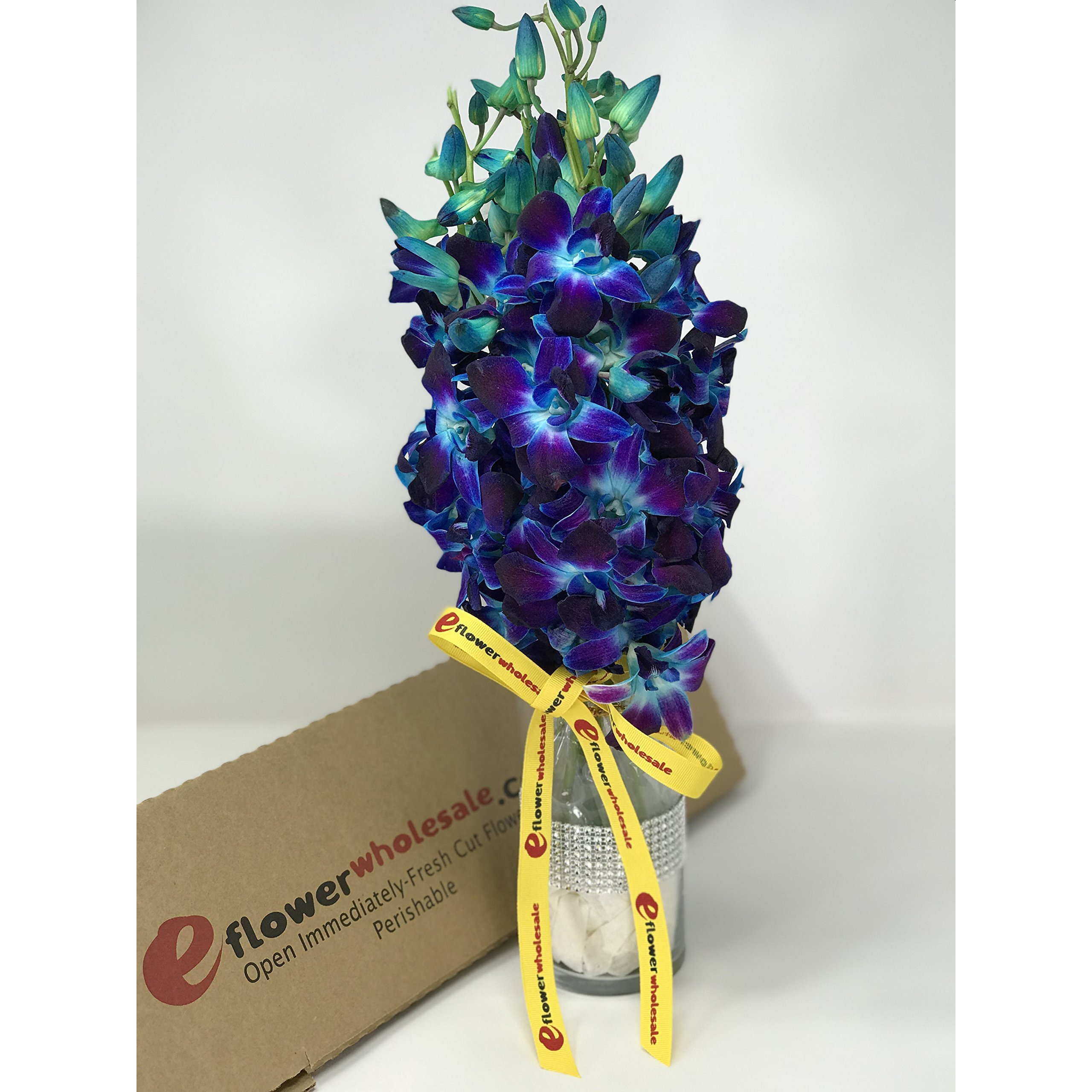 Eflowerwholesale - Premium Cut Blue Orchids (10 Stems Orchid With Rhinestone Mesh Ribbon Vase)