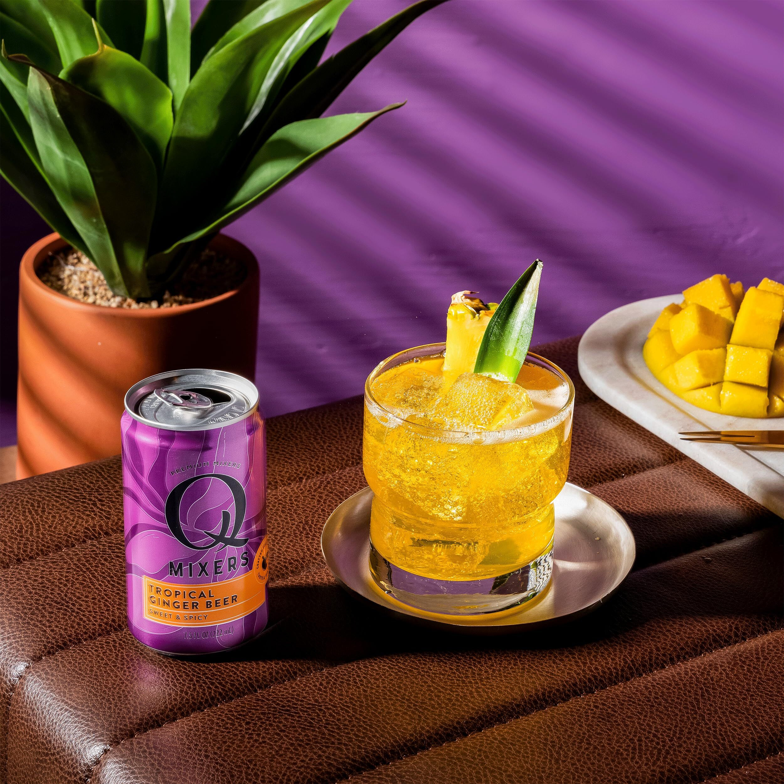 Q Mixers Tropical Ginger Beer, Premium Cocktail Mixer Made With Real Ingredients, 7.5 Fl Oz (Pack Of 24)