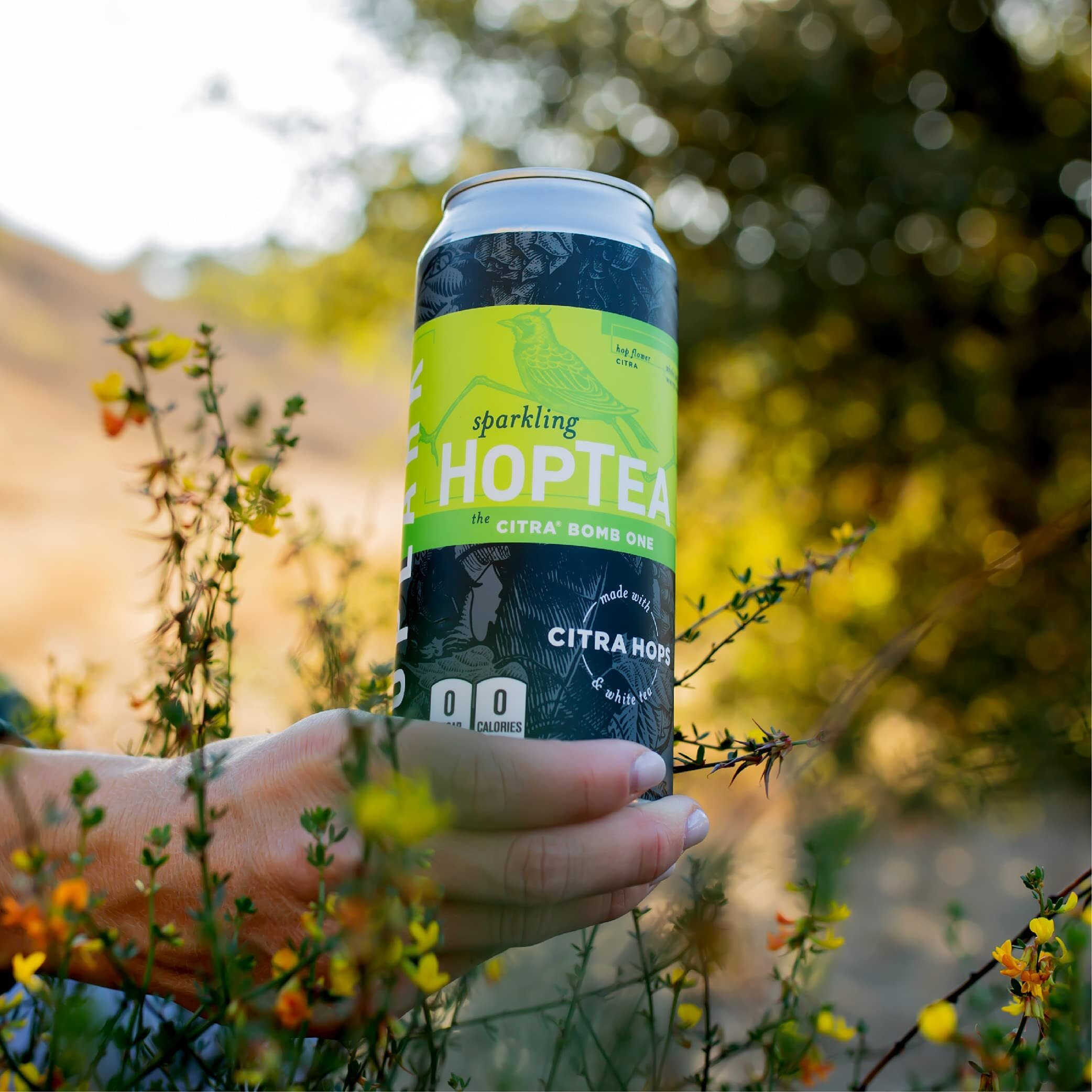Hoplark Sparkling Hoptea - The Citra Bomb One (12Pk - 16Oz Cans) - Craft Brewed Na Beer Alternative - Organic, Gluten-Free, Non Gmo, Zero Calories, Sugar-Free, Natural Caffeine, Unsweetened