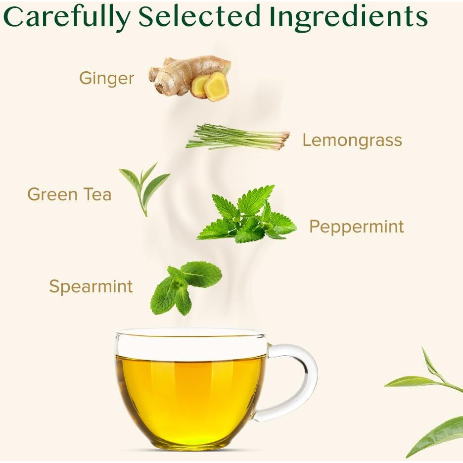 Vahdam, Ginger Mint Green Tea Bags (100 Count) High Grown Green Tea With Raw Ginger | Medium Caffeine | Non Gmo, Gluten Free | Mint Tea Bags | Resealable Ziplock Pouch