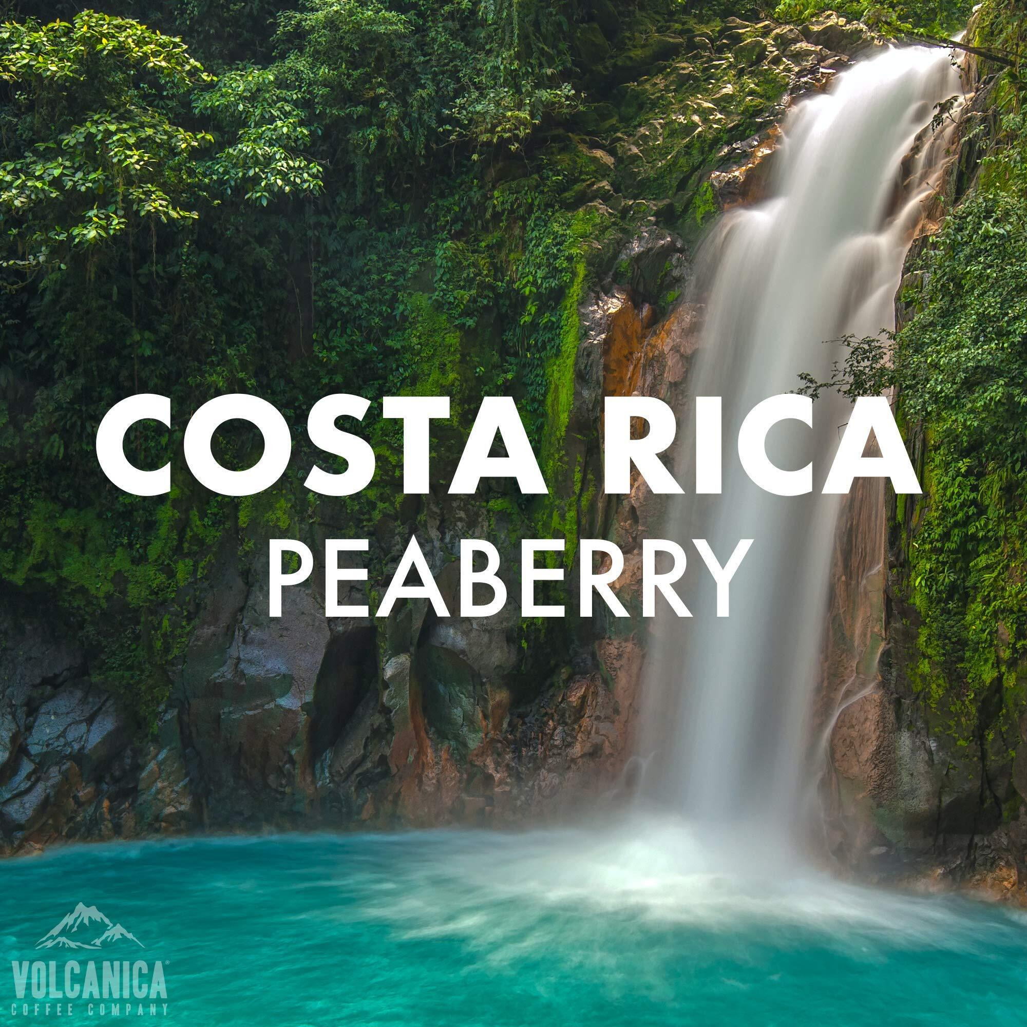 Costa Rica Peaberry Coffee, Ground, Medium Roast, Fresh Roasted, 5 Lbs