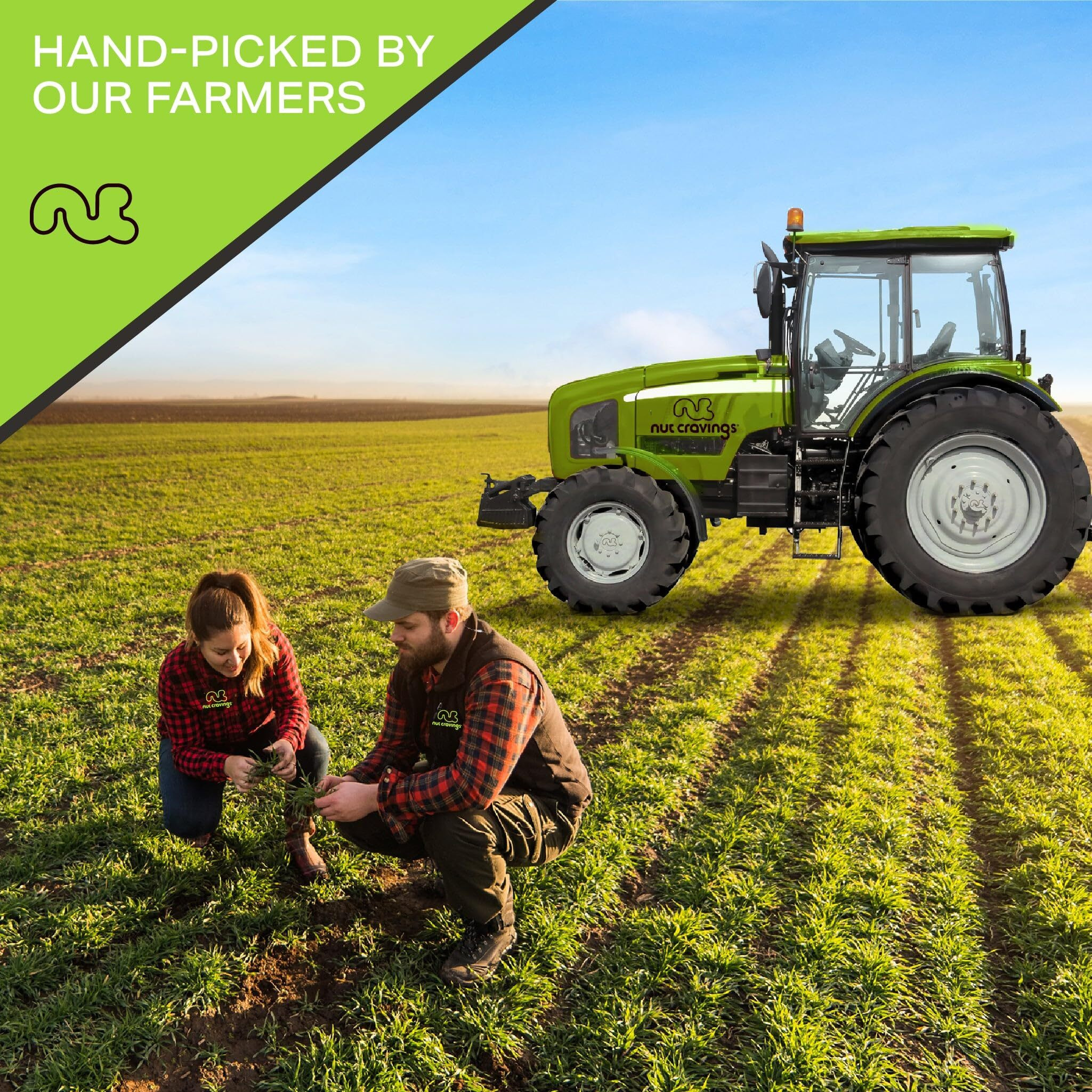 Nut Cravings - Raw Brazil Nuts In Shell - Whole, (32Oz - 2 Lb) Bulk Nuts Packed Fresh In Resealable Bag - Healthy Protein Food Snack, All Natural, Keto, Vegan, Kosher