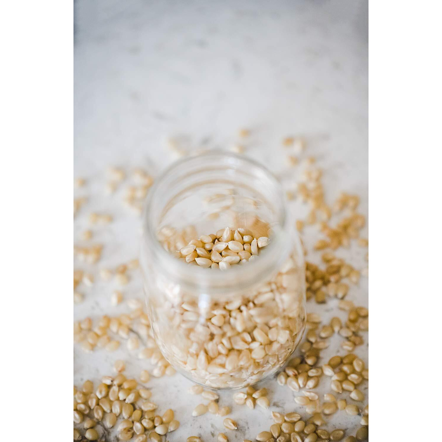 Amish Country Popcorn | 14 Oz Bottle | Medium White Popcorn Kernels | Old Fashioned, Non-Gmo And Gluten Free (14 Oz Bottle)