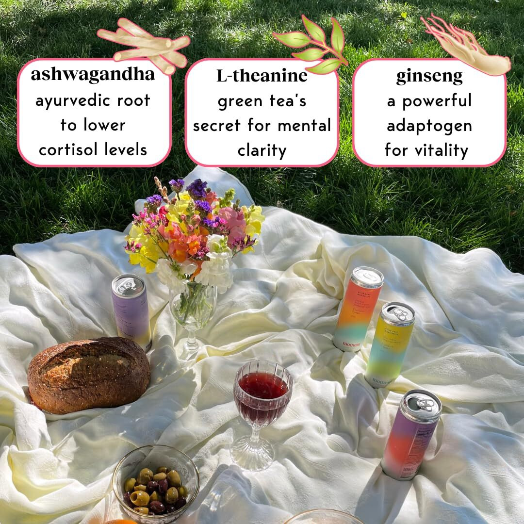 Moment Adaptogen Drink - Sparkling Combo Variety, L-Theanine, Ashwagandha, Ginseng For Focus & Stress Relief, 0 Added Sugar, 0 Alcohol & Caffeine