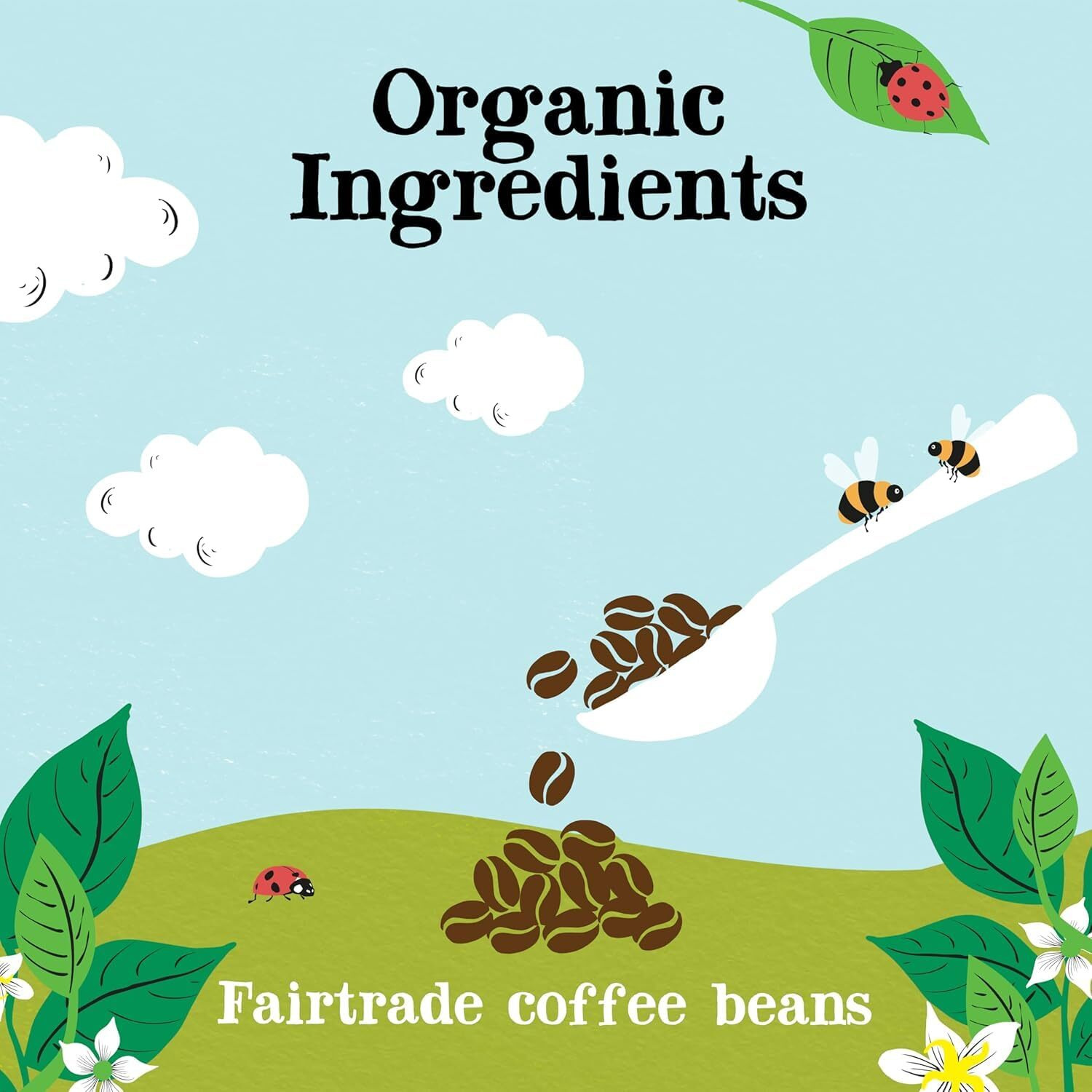 Clipper Coffee Organic Latin American Instant Coffee - Medium Roast Coffee, Freeze Dried & Ethically Sourced - 6 Pack, 100G Per Jar