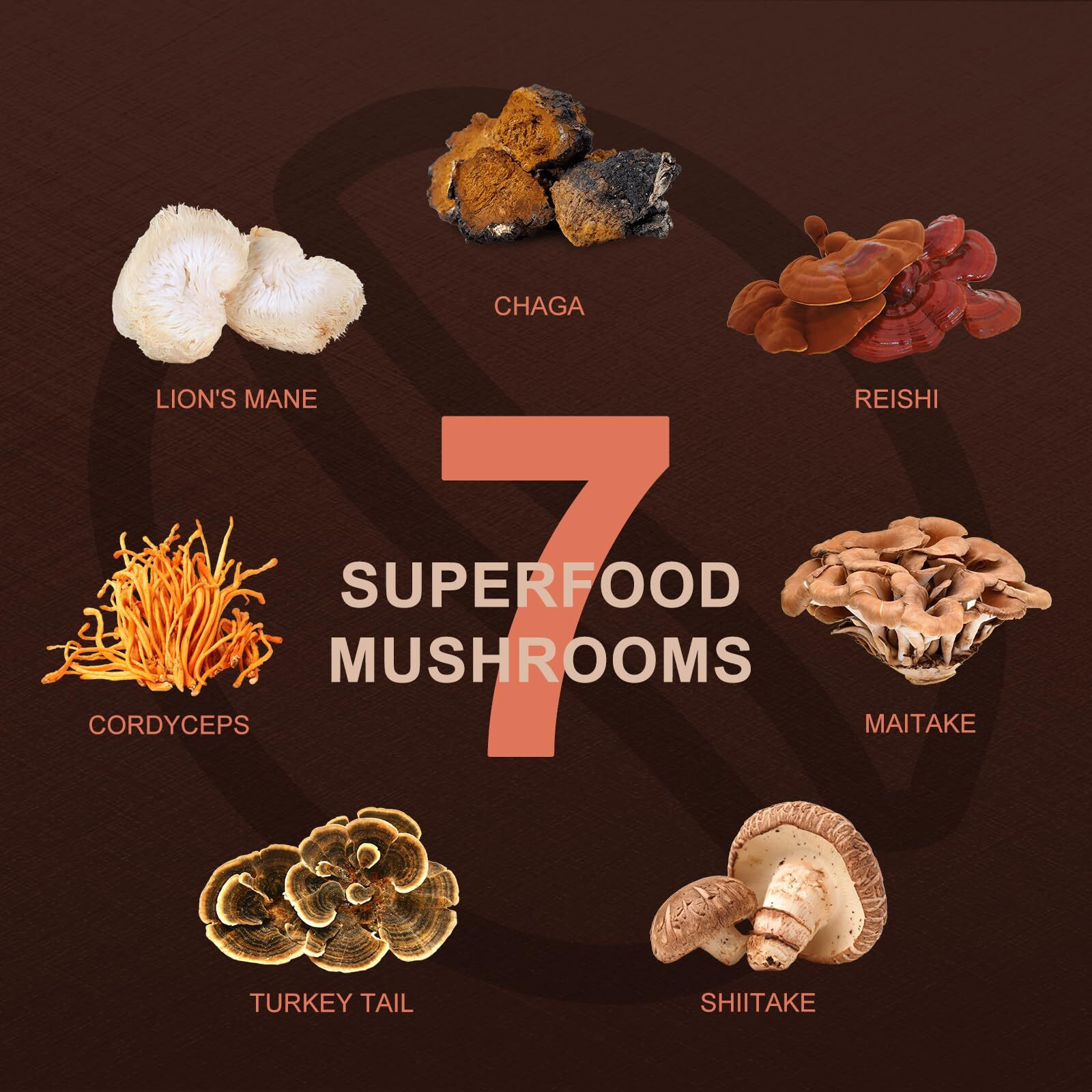 Orgfun Premium Mushroom Coffee With 7 Superfood Mushrooms, Great Tasting Arabica Instant Coffee, Includes Chaga, Lion's Mane, Reishi, Cordyceps, Maitake, And Turkey Tail, Shiitake 3.53 Oz