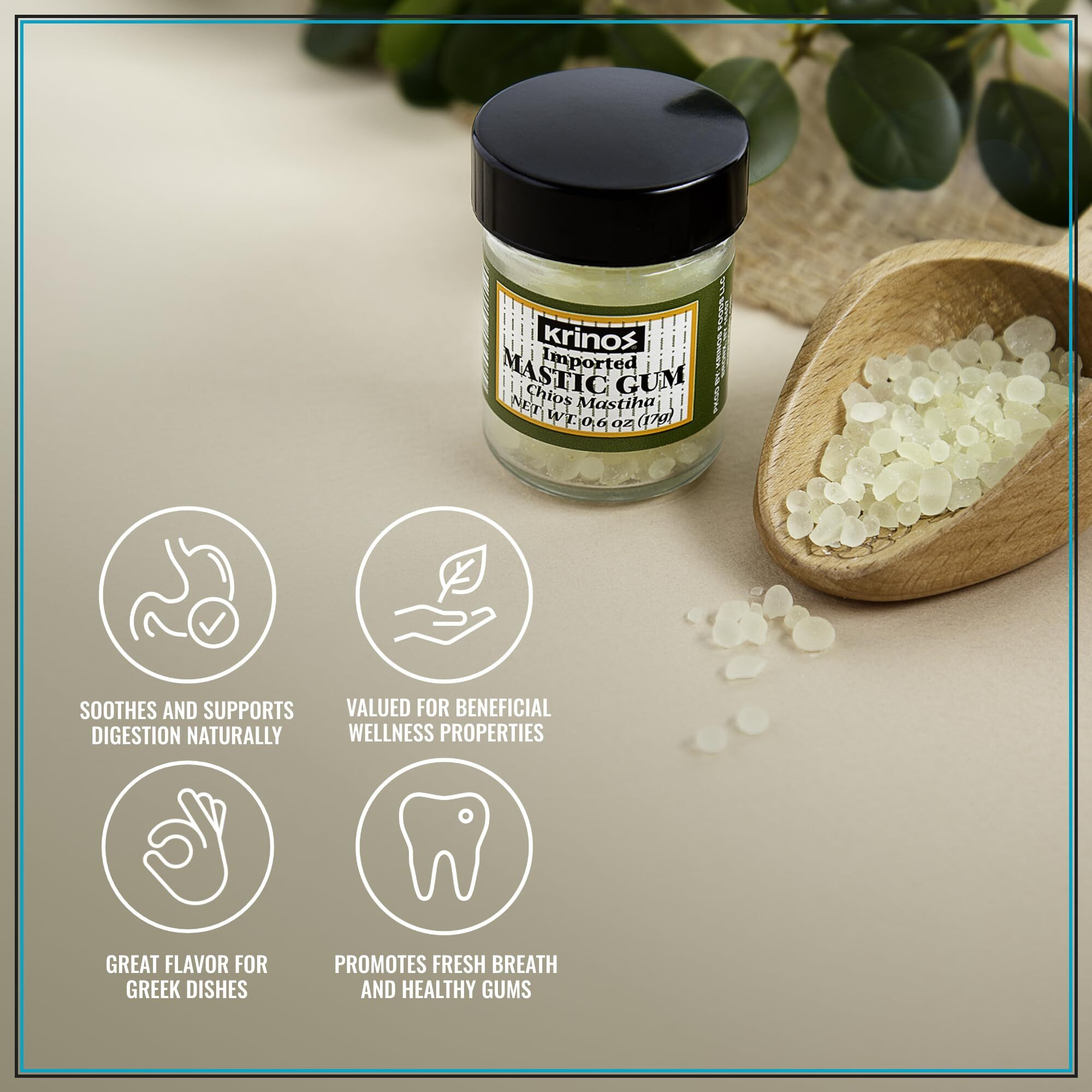 Krinos Greek Mastic Gum Rich History, Piney Flavor, Culinary Treasure | Chios Island Pdo Product, 17G Jar