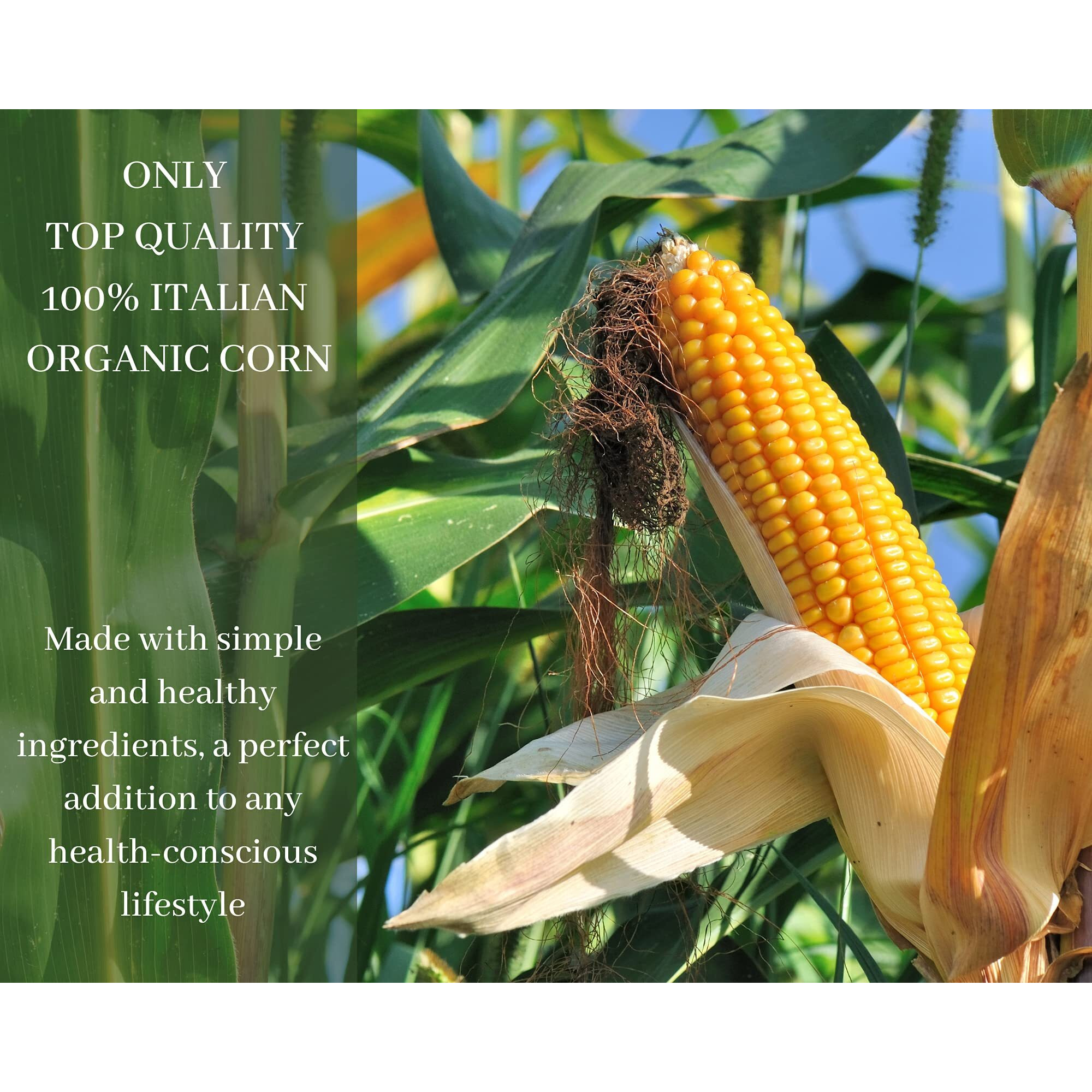 Le Asolane Certified Organic Gluten Free Ditalini Pasta | 2 Pack | Authentic Imported Italian Gourmet Pasta From Select Premium Grade Corn Flour | 8.8 Oz Packages