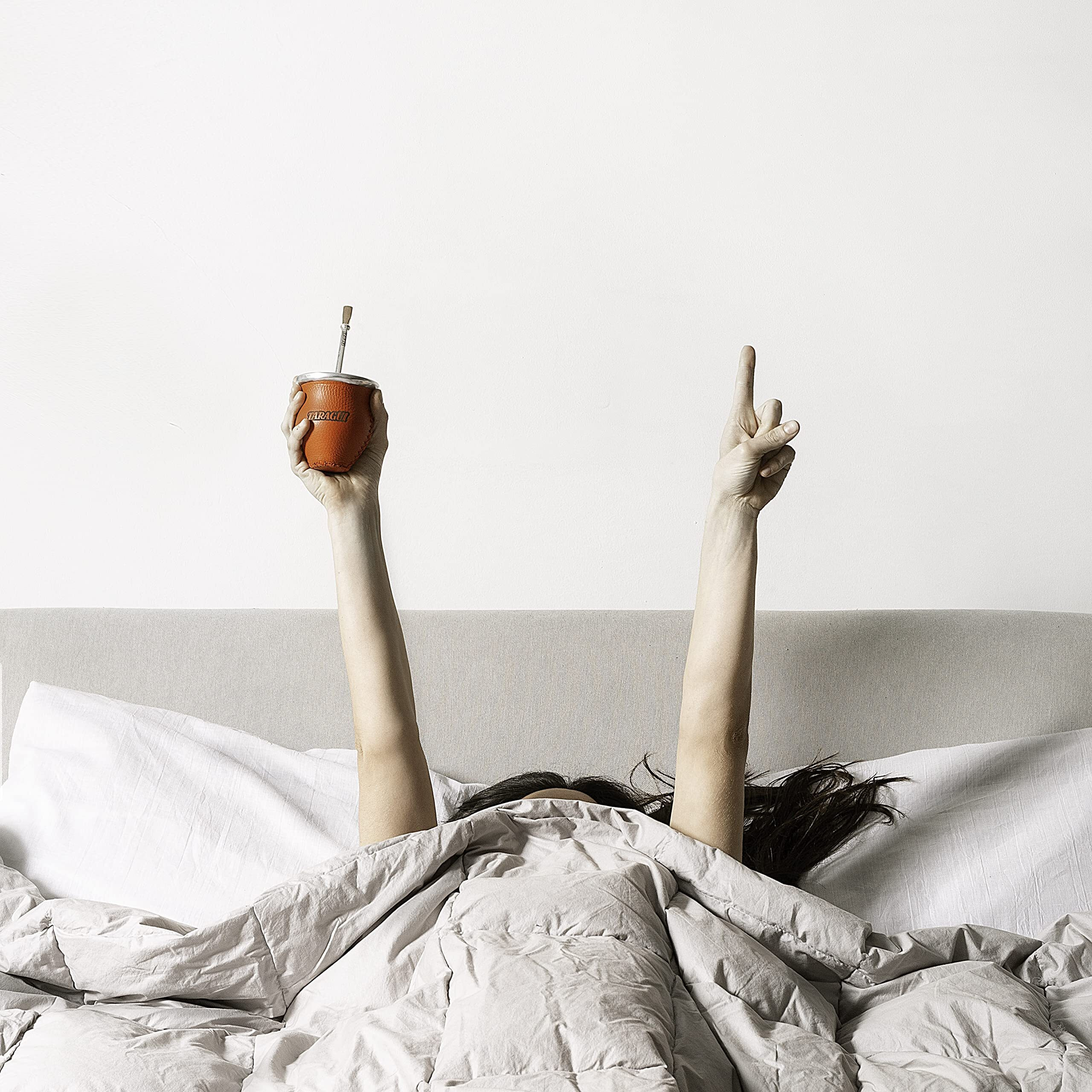 Taragi Yerba Mate With Stems, 500 Gr - 1.1 Lbs (Red Pack)