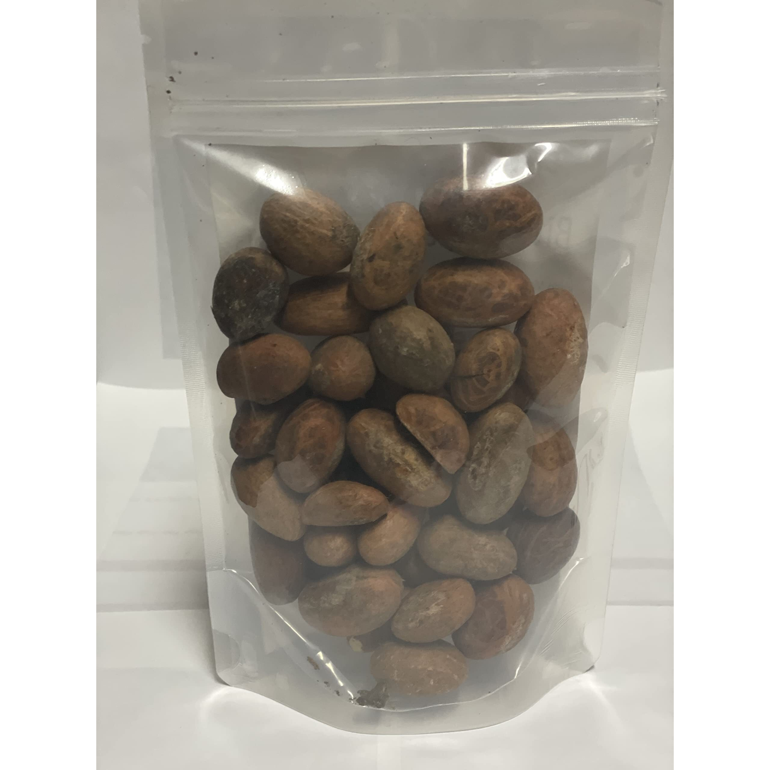 Jeb Foods African Bitter Kola Nuts, Bitter Kola Retro Garcinia, Petit Cola Nut, Obi Abata Cola Nut (8Oz)