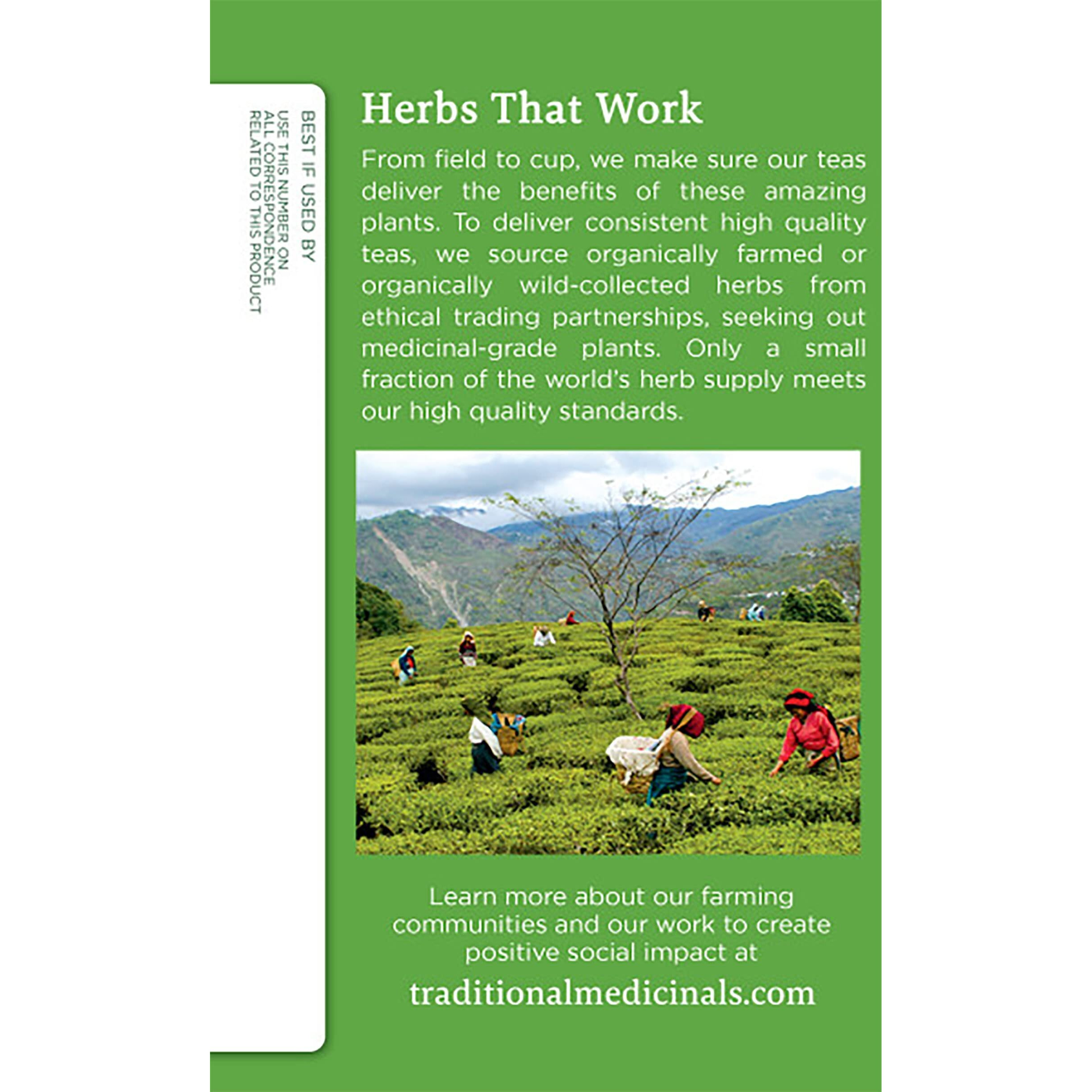 Traditional Medicinals Organic Green Tea Ginger Herbal Tea, Promotes Healthy Digestion, (Pack Of 1) - 16 Tea Bags