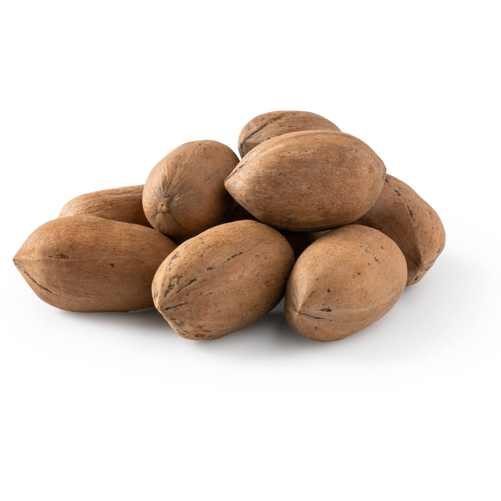 Nuts U.S. - Pecans In Shell | Whole, Raw And Unsalted | No Added Flavor Or Color | Fresh Buttery Taste And Easy To Crack | Natural Unshelled Pecans Packed In Resealable Bags (6 Lbs)