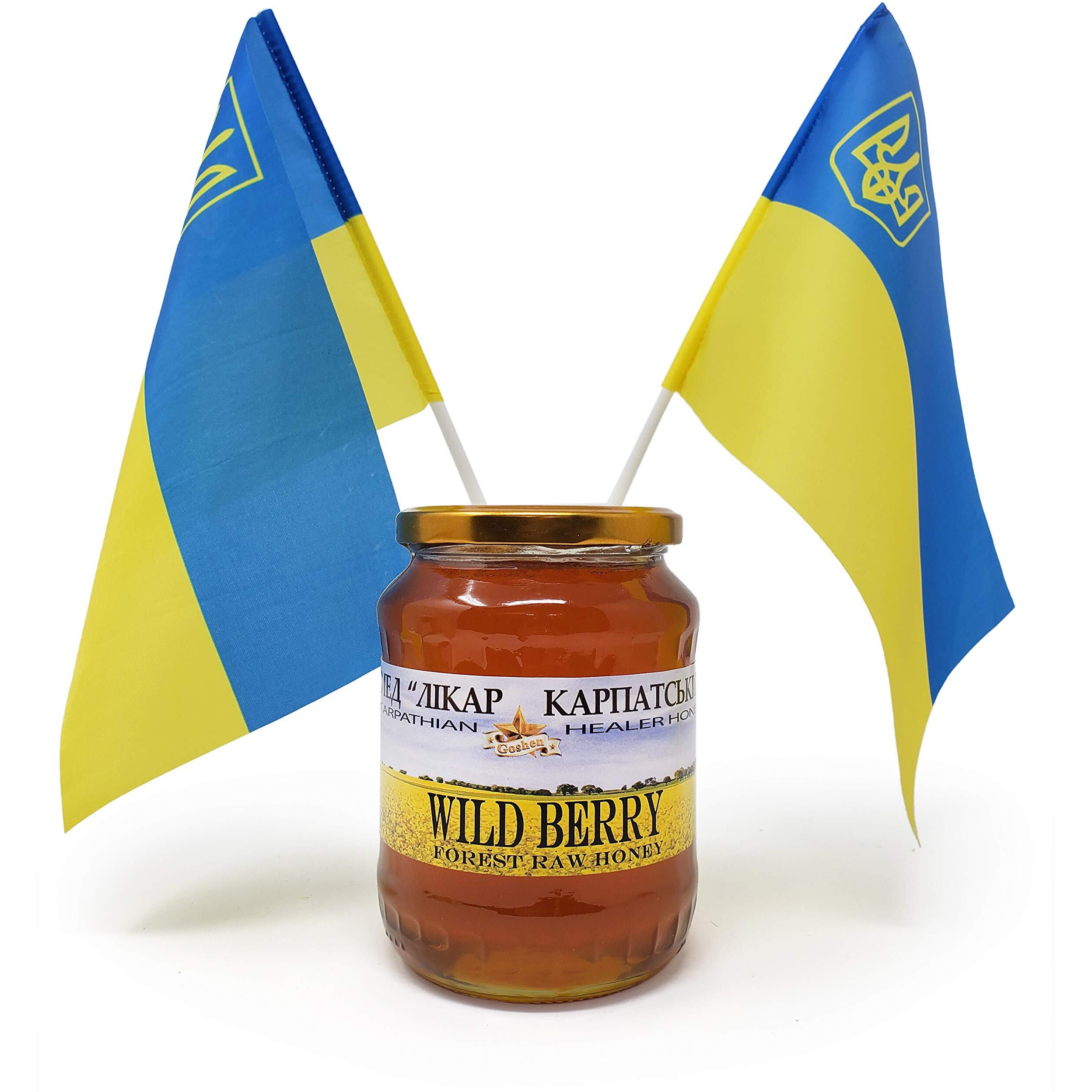 Goshen Honey Amish Extremely Raw Carpathian Pure Wild Berry Honey 100% Organically Natural With Life Enzymes Health Benefits | Unfiltered Unprocessed Ou Kosher Certified Glass Jar 2.2 Lb | 35.2 Oz 1Kg