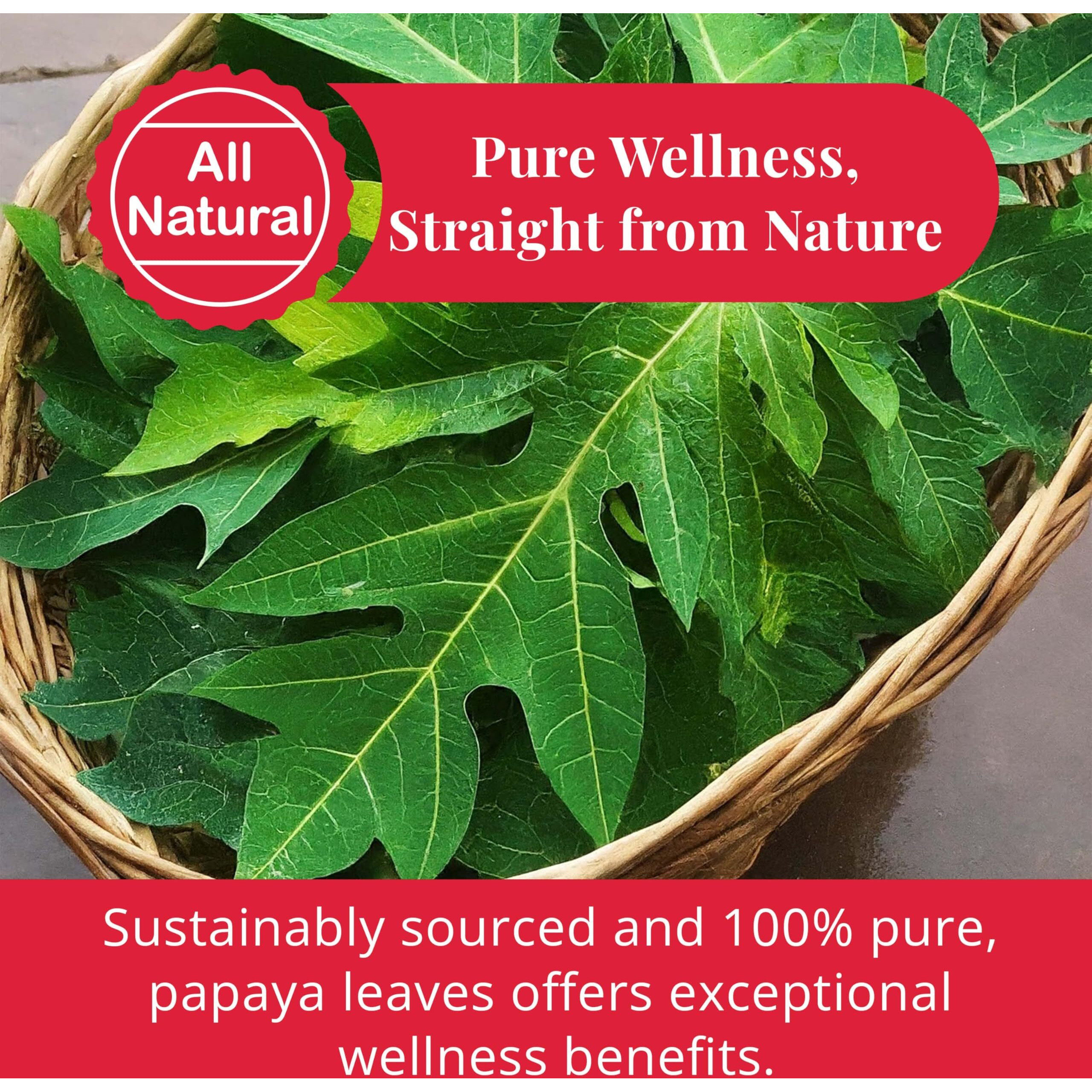 Akshit- Organic Papaya Leaves, 2.6 Oz, Dried From Fresh Green Papaya Leaf, Non Gmo, Hojas De Papaya, Gluten Free.