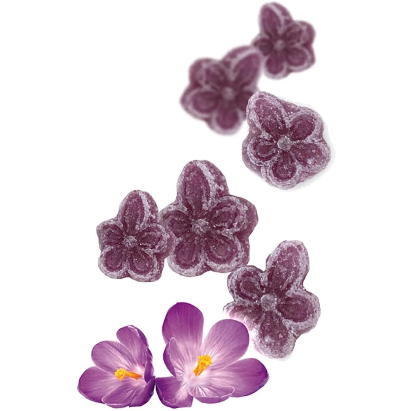 Andy Anand Sugar Free Candy Violets 50Pc - Typical Old Fashioned Hard Candy Dragee - Flower Shaped Five Petals Stevia Candy - Zero Sugar Candy With The Essence Of Violet & Sweetened With Stevia