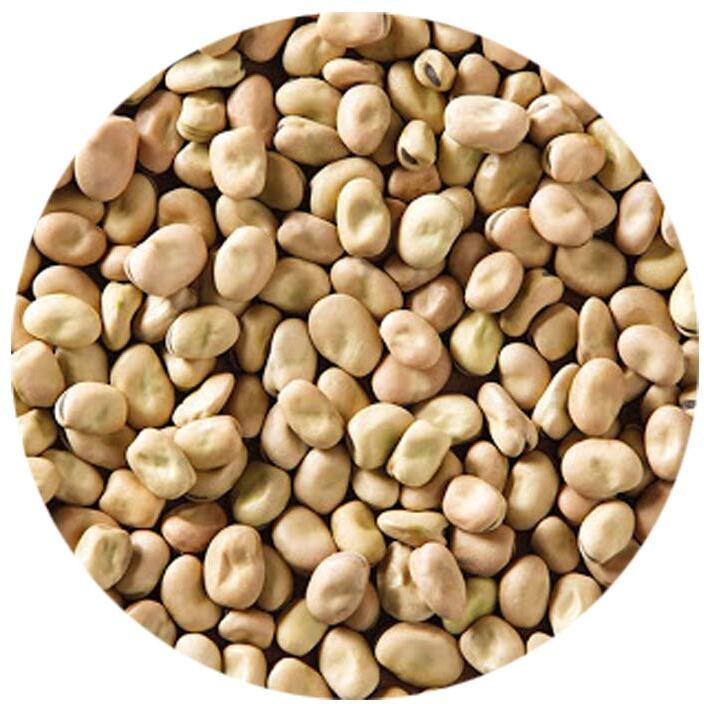 Eastern Feast - Dry Foul (Fava Mini), 2 Lbs (907G)