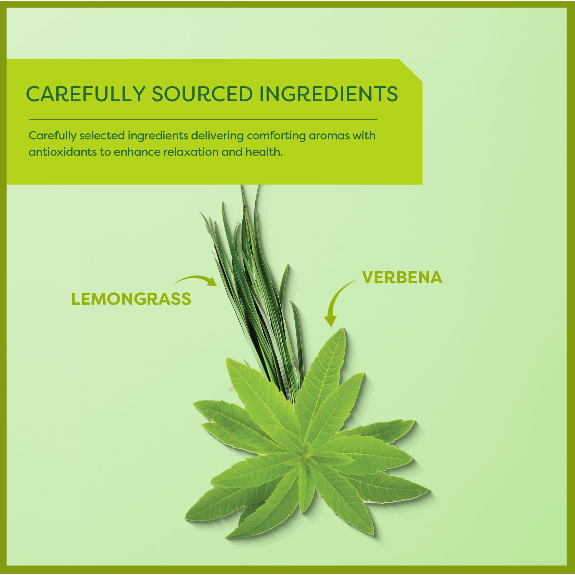 Wissotzky Lemongrass & Verbena Green Tea (6 Pack - 120 Tea Bags) | Soothing Aroma | Antioxidant Rich | Refreshing Green Tea Bags