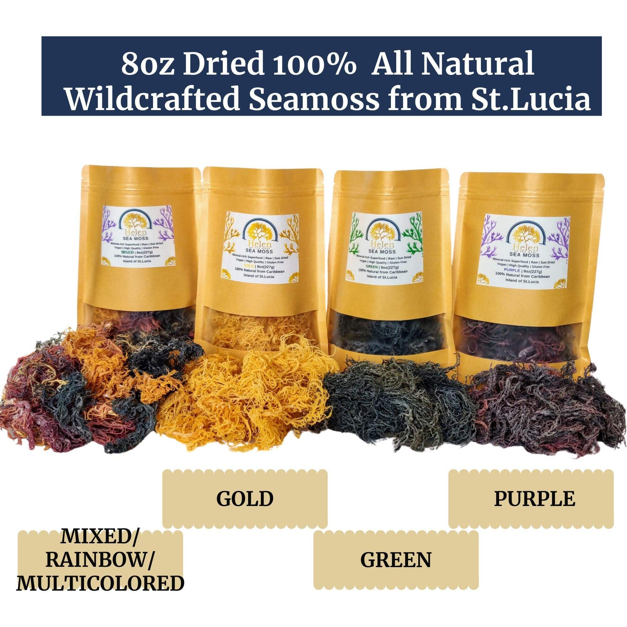 Wildcrafted Sea Moss | Gold - Purple - Green - Mixed | 100% Natural Irish Moss From St.Lucia | Mineral-Rich Superfood | 8Oz Sun-Dried Moss | No Preservatives No Chemicals