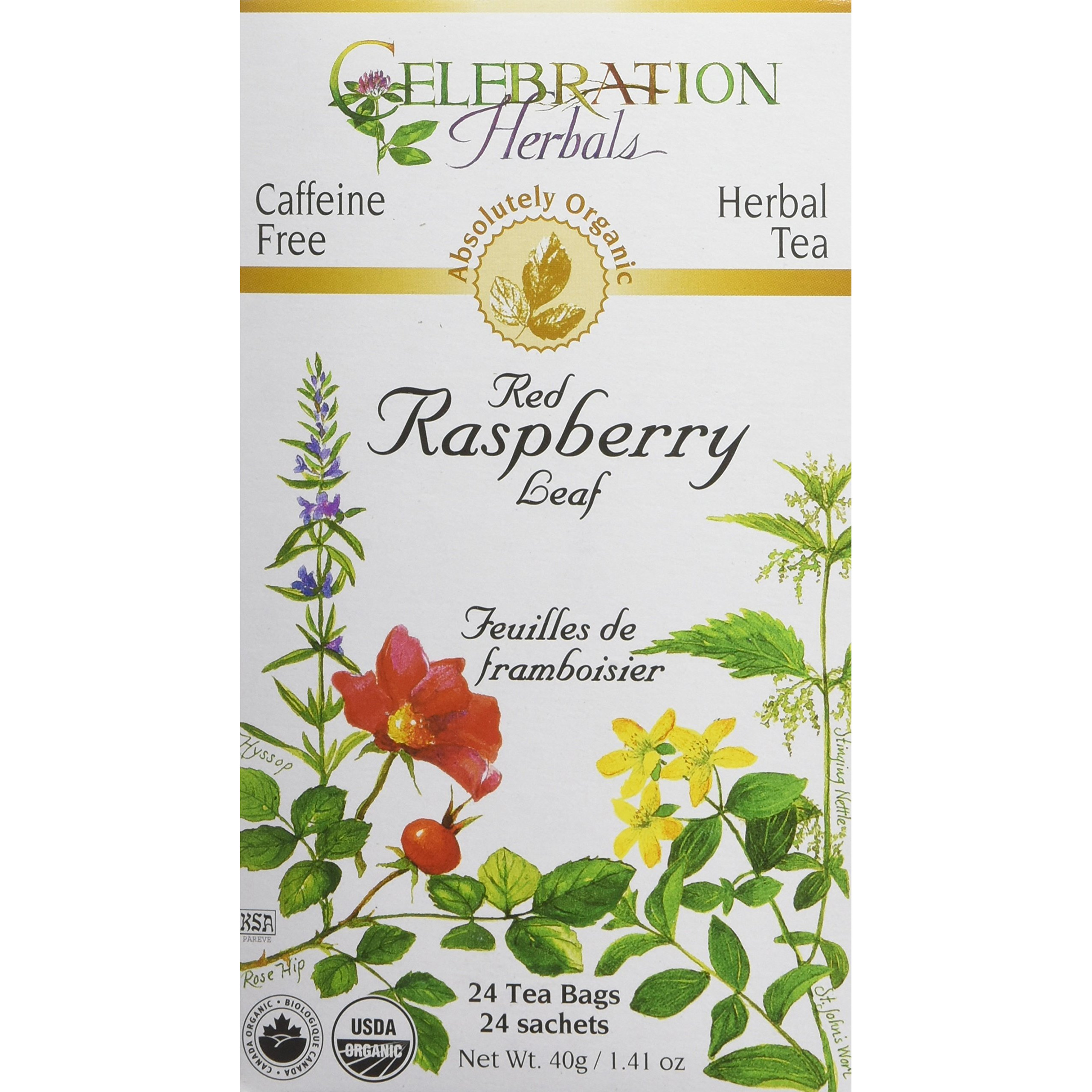 Celebration Herbals Red Raspberry Leaf Tea Organic 24 Bag, 0.02 Pound