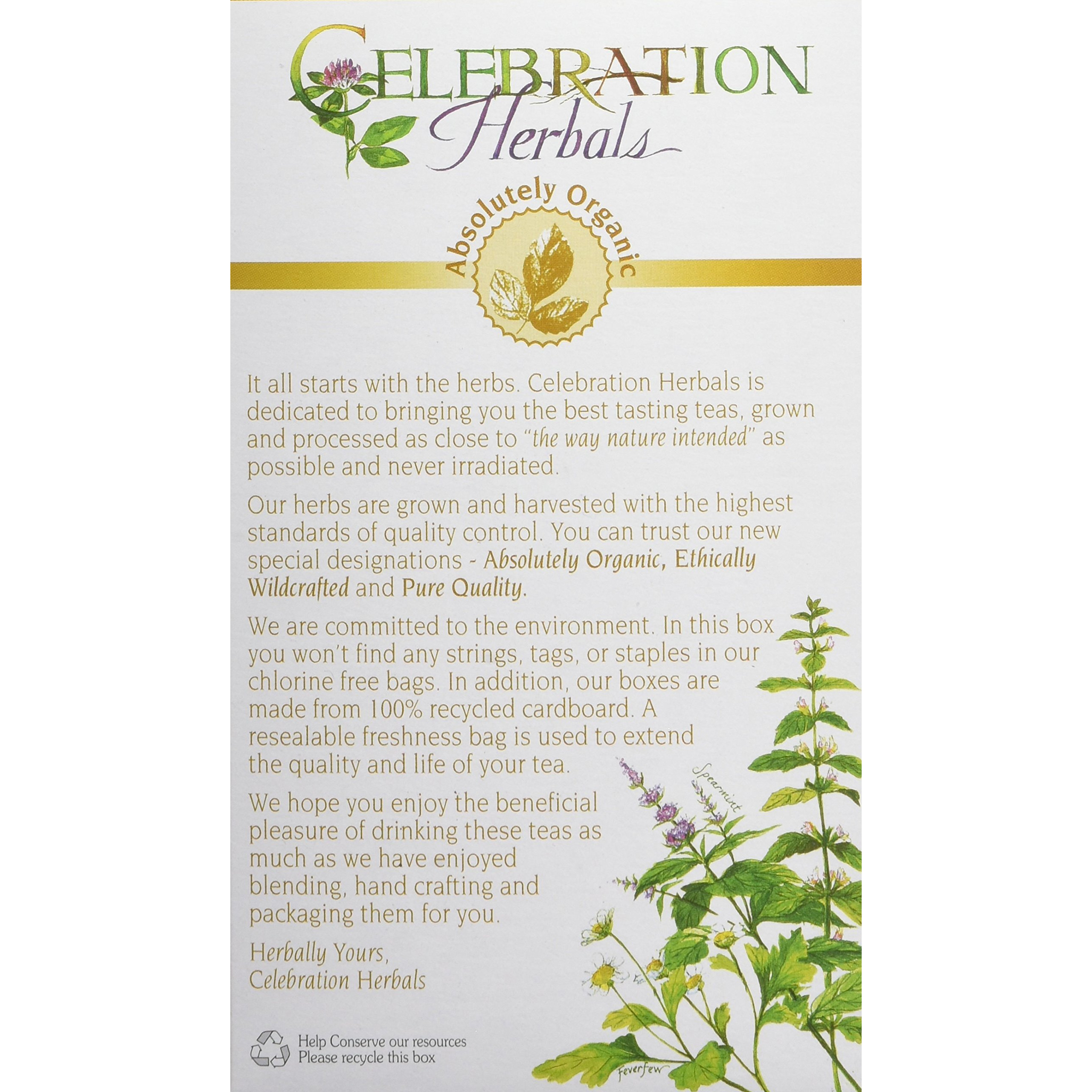 Celebration Herbals Red Raspberry Leaf Tea Organic 24 Bag, 0.02 Pound