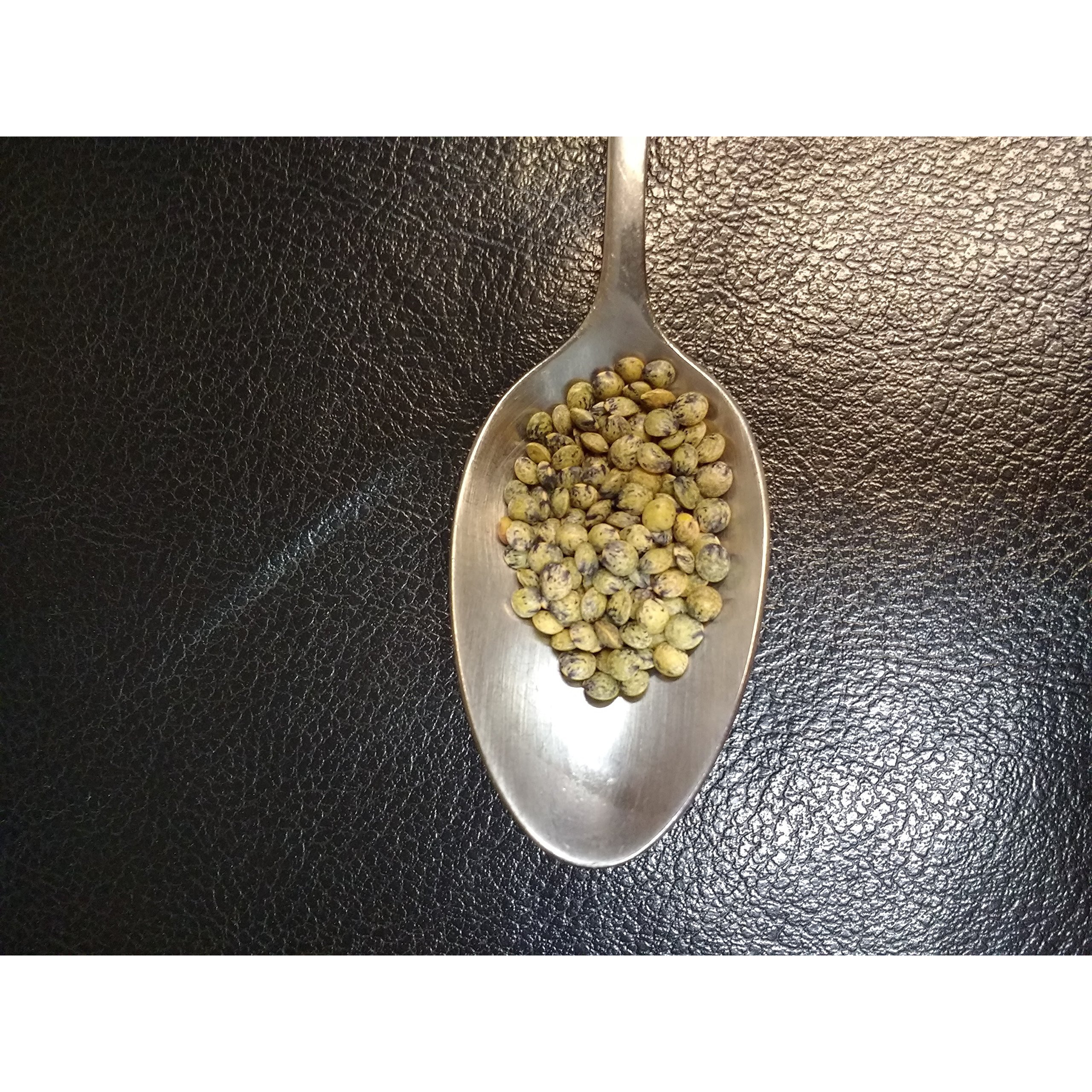 French Green Lentils 5 Pounds Petite, Usda Certified Organic, Non-Gmo Bulk, Product Of Usa, Mulberry Lane Farms